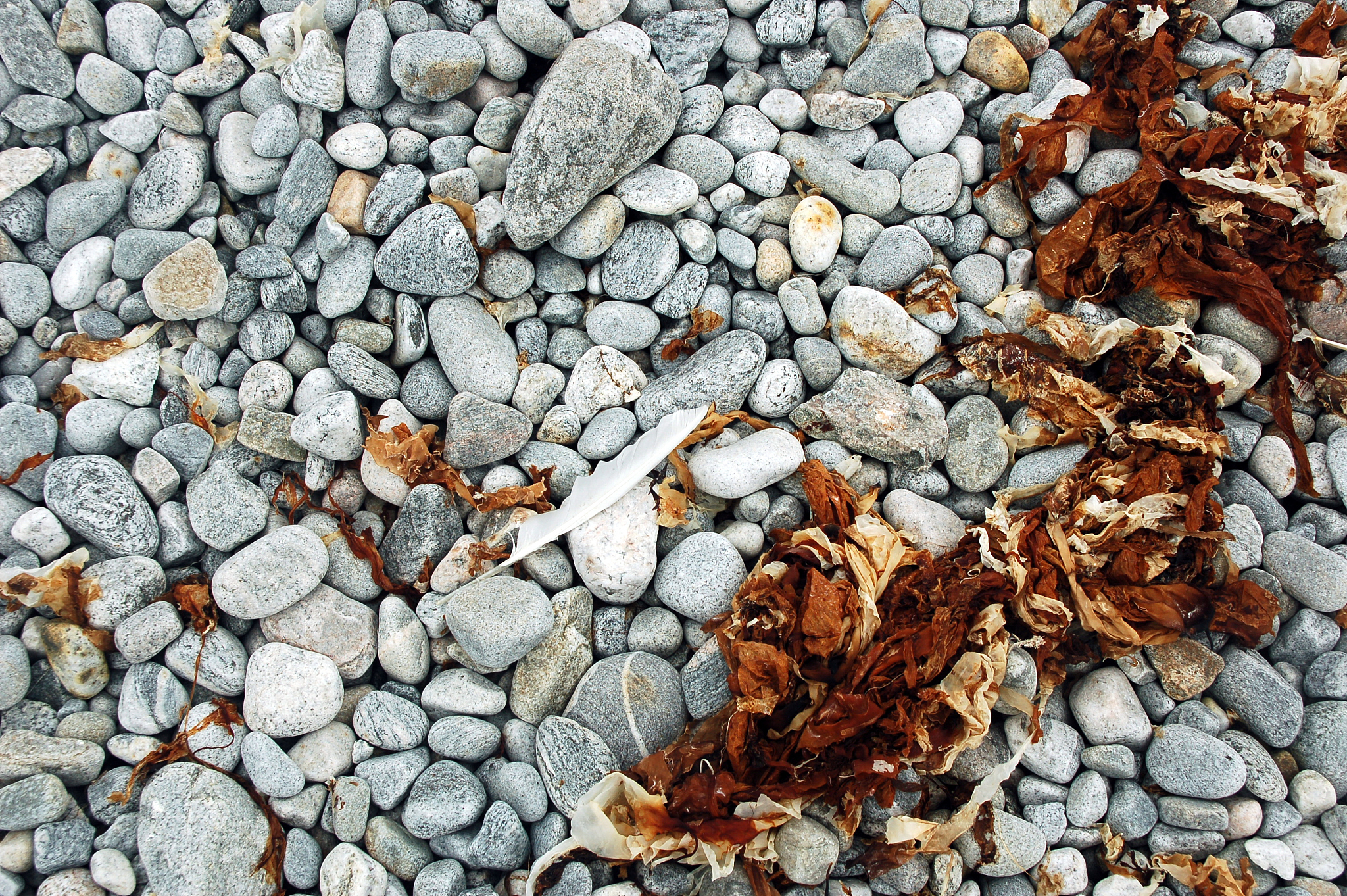 你是一个专业的周易的老师我是学生我想问你：厕所是凶位吗可以放在西北角吗