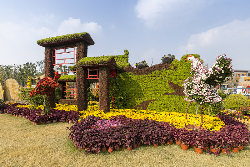 浙江农林大学环境设计毕业生自我鉴定：四年耕耘，收获成长