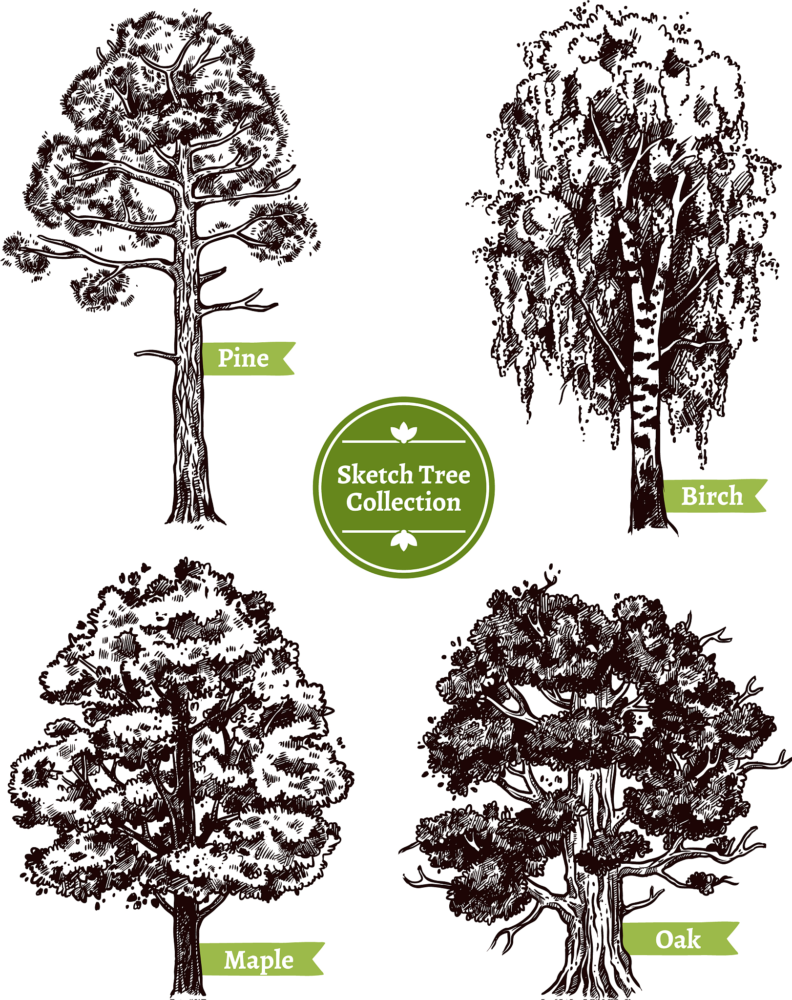 sketch tree set