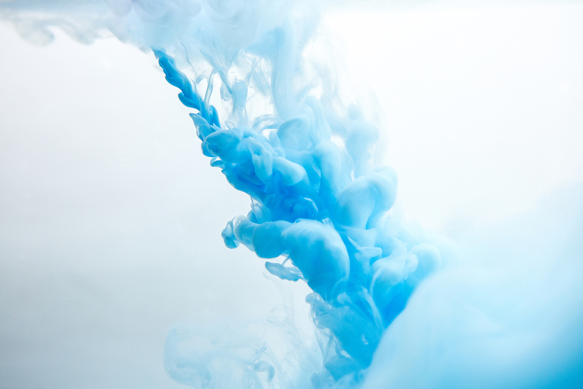 营口理工学院化学工程与工艺专业培养目标 - 培养具备扎实基础和创新精神的高级人才