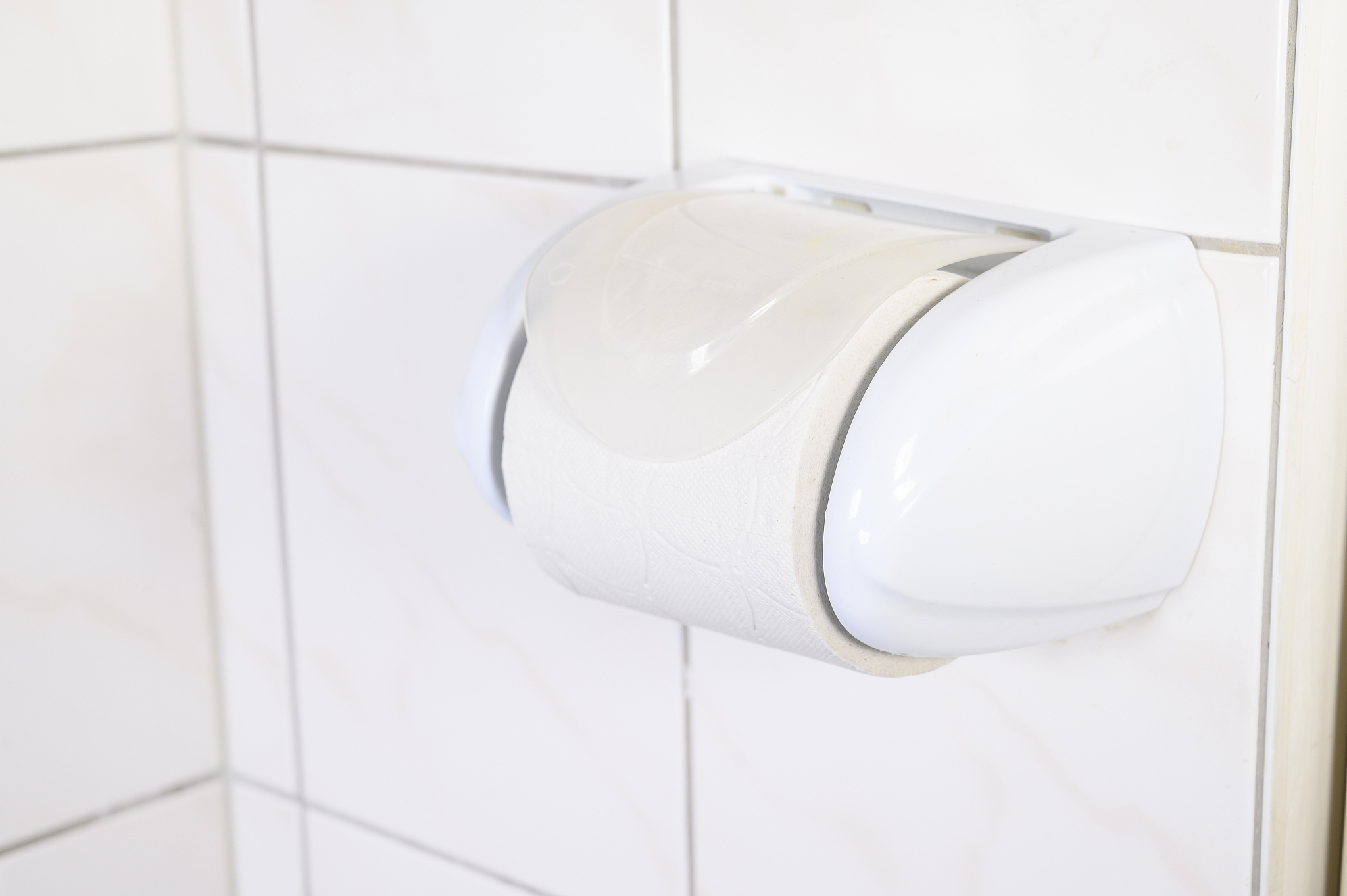 toilet paper in a wc.