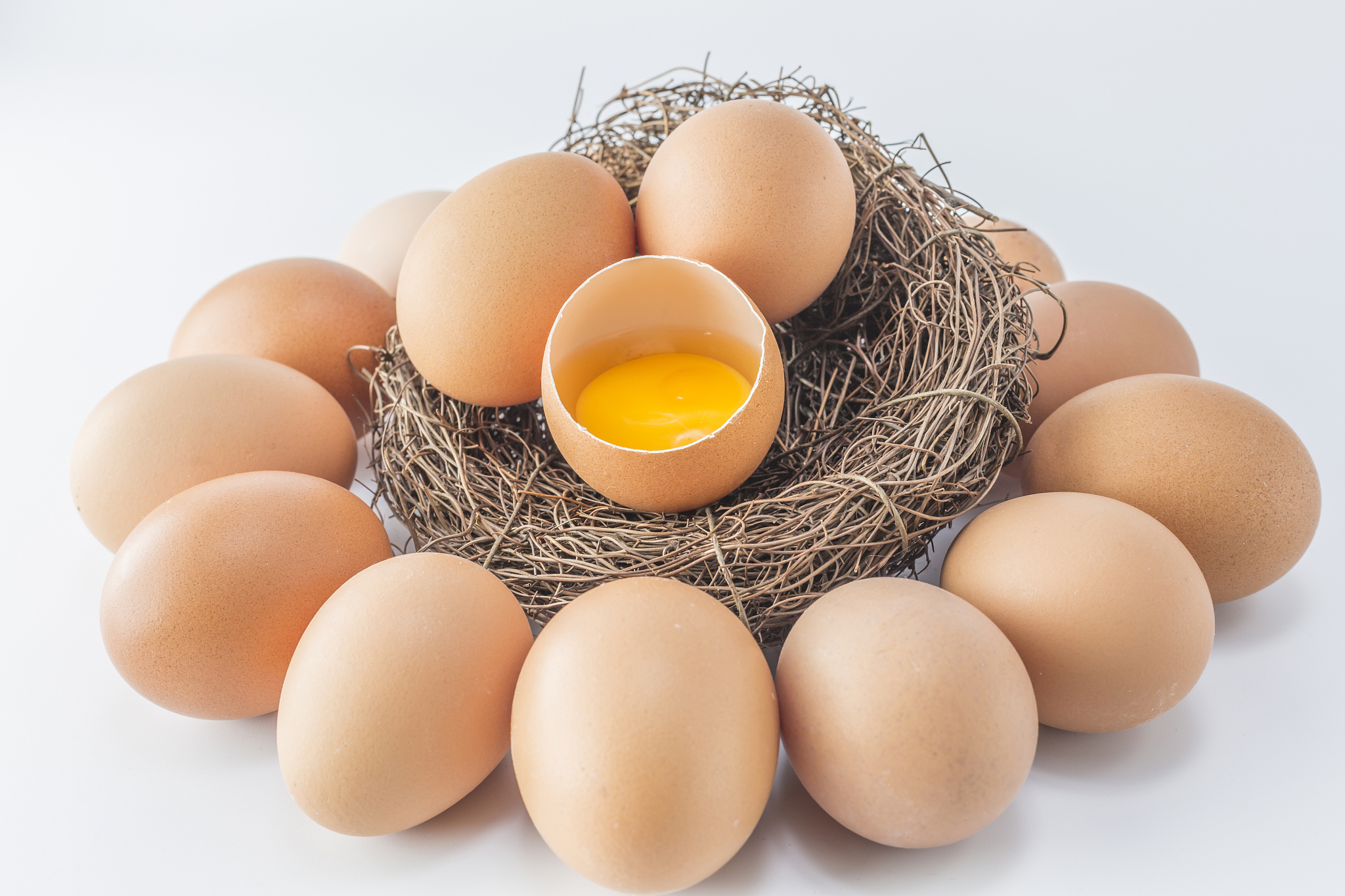 egg