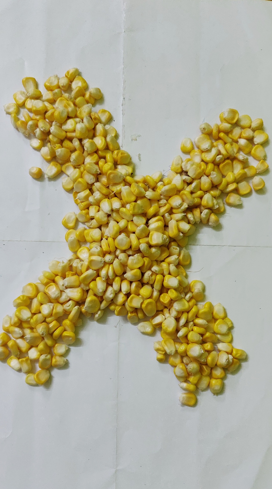 新鲜玉米粒发芽了还能吃吗？营养变化和安全风险解析