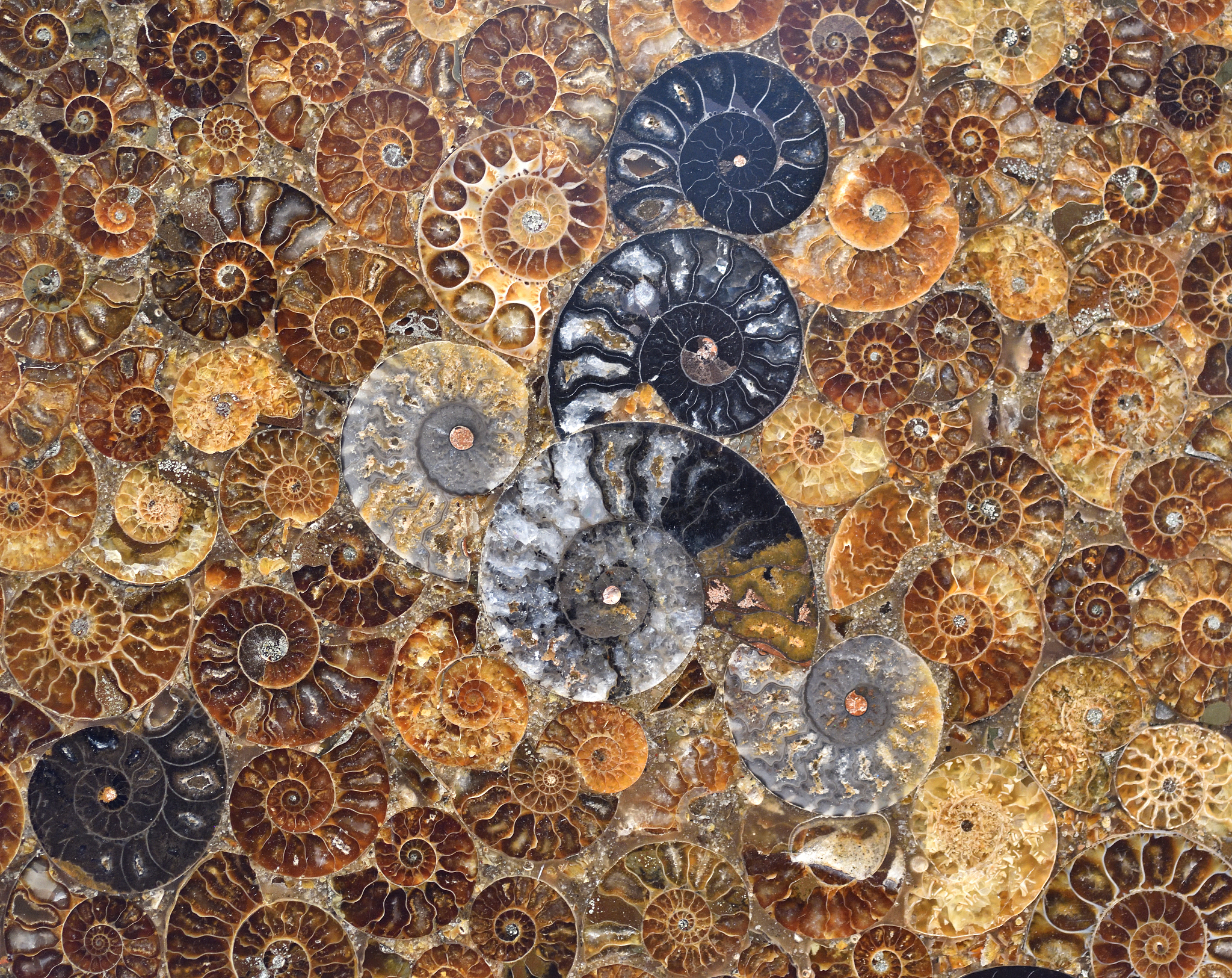 吉林大学地质学专业怎么样？优势、方向及就业前景解析