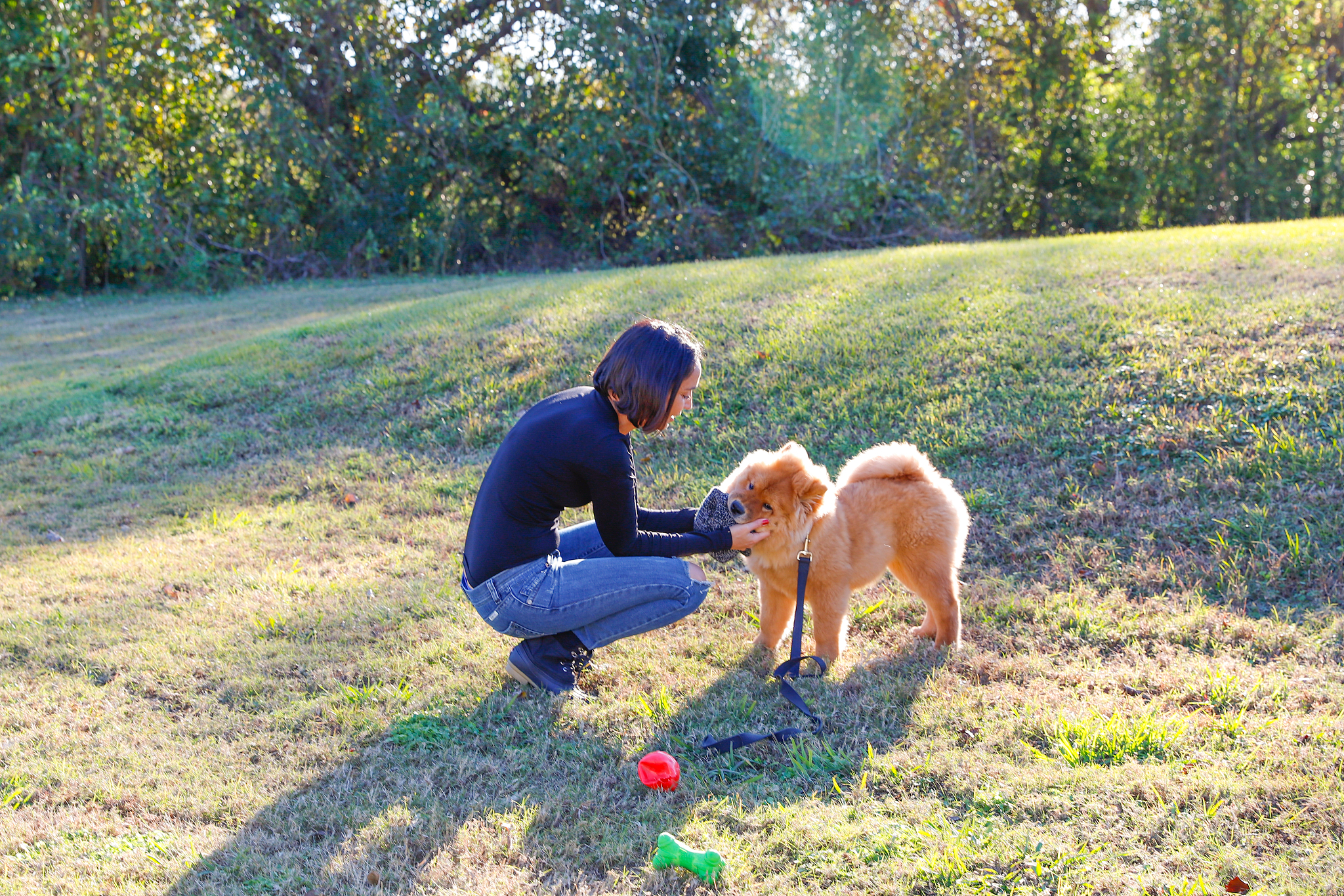 1200字为什么比起谈恋爱年轻人更喜欢把养宠物作为情感寄托？