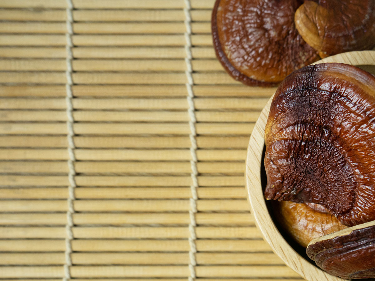 昆明中专学校有卫校专业吗？2022年最新情况