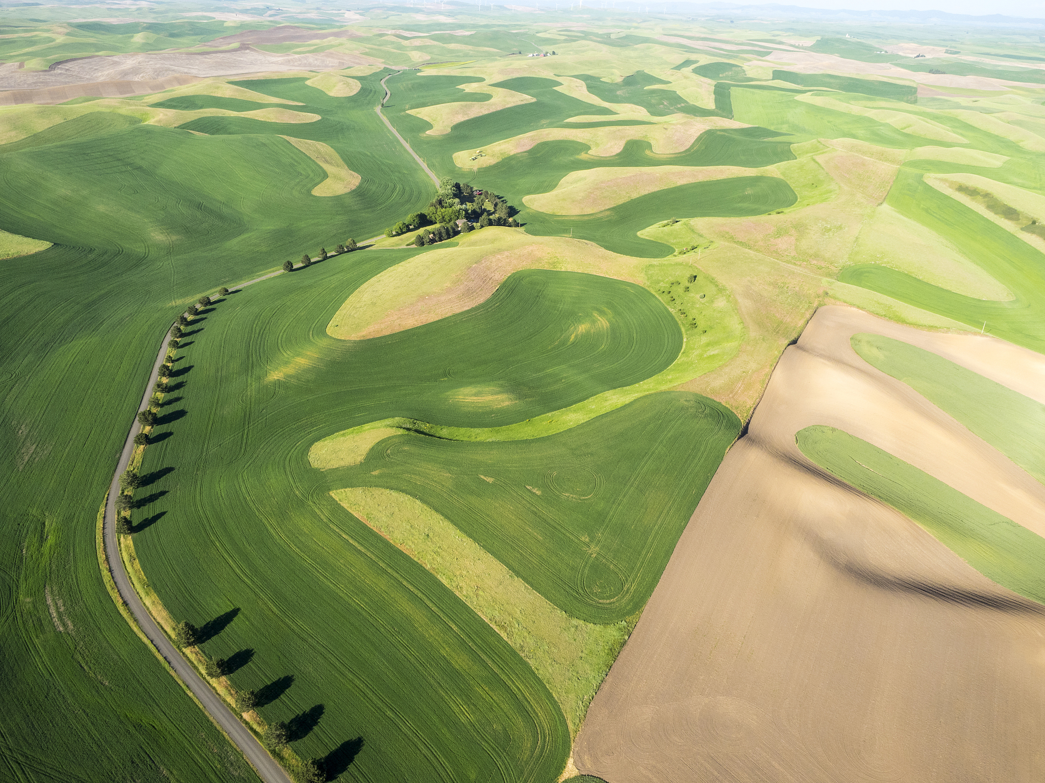 aerial photography in the palouse region of eastern washington