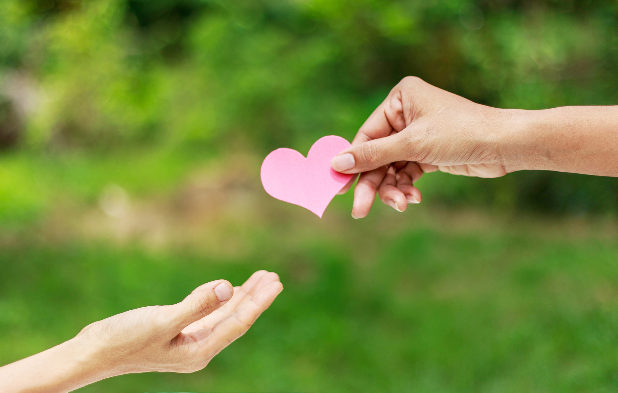 什么是爱？爱是无私的付出和关怀