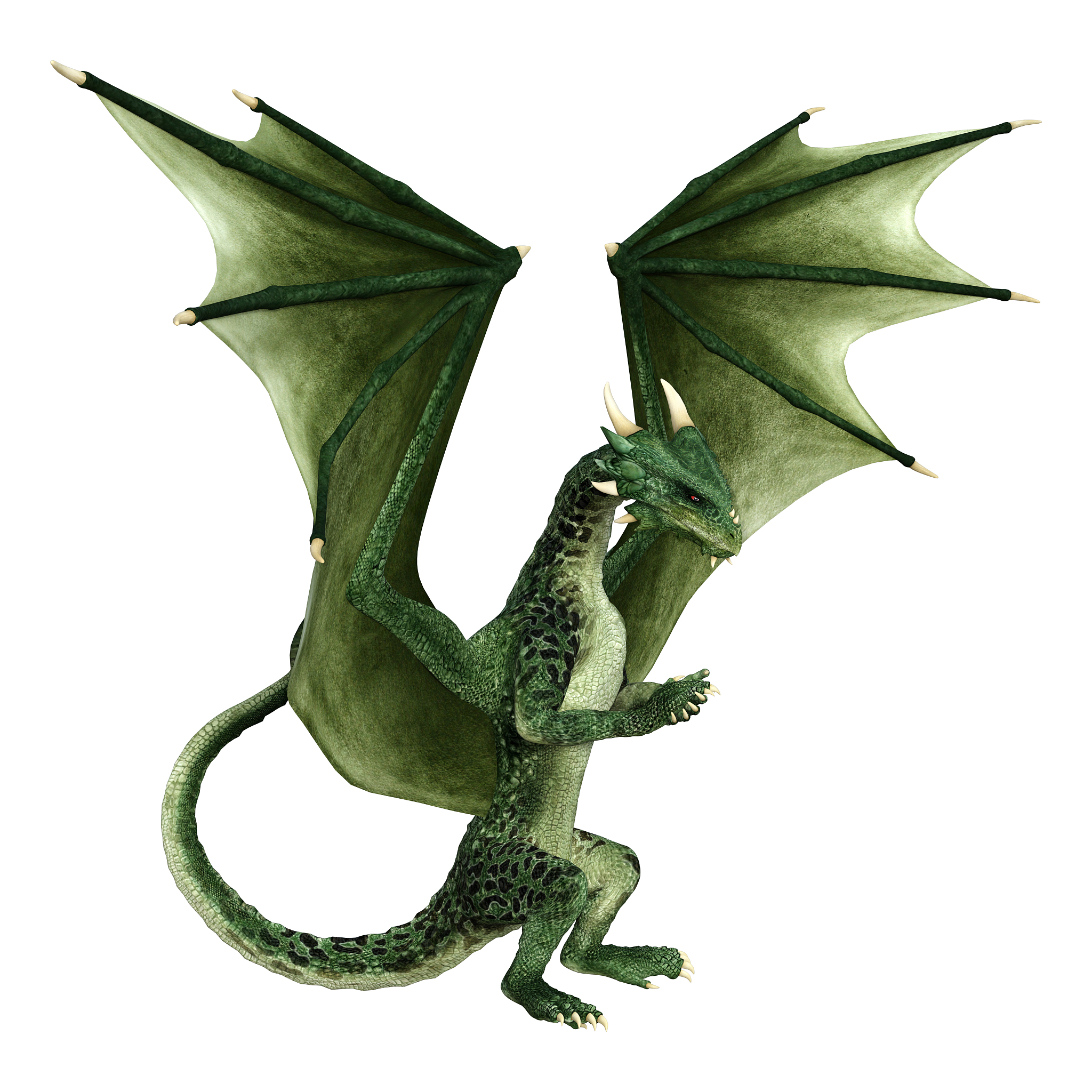 3d illustration fantasy dragon on white