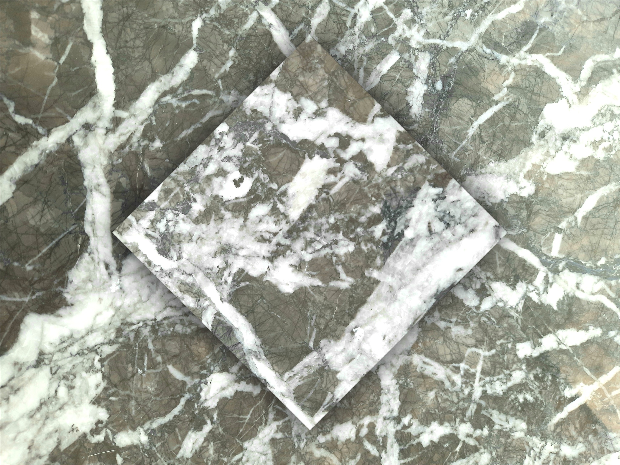 阿根廷的Lithea公司是干什么的