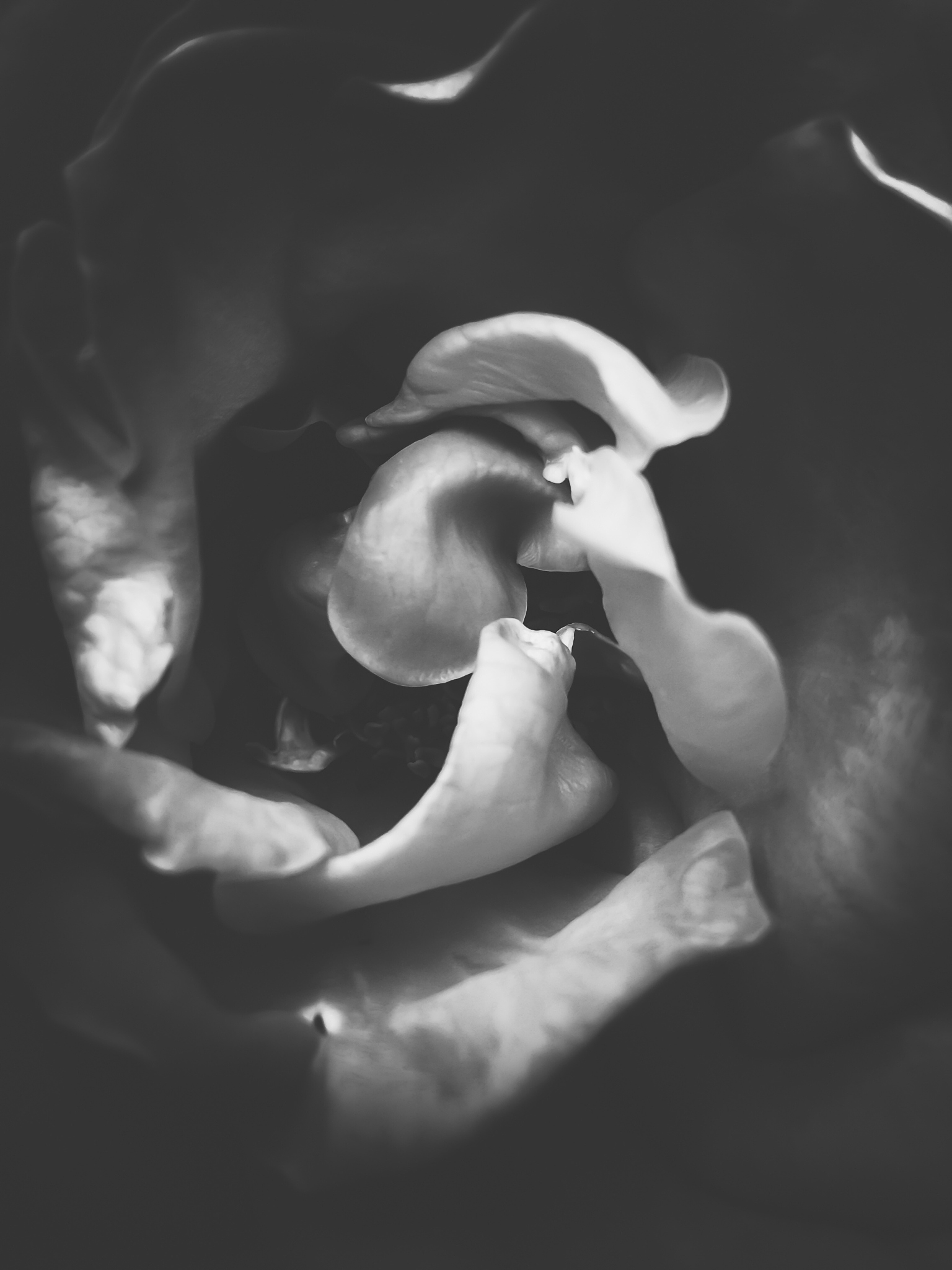 黑白照片的艺术：用光影定格情感与思考