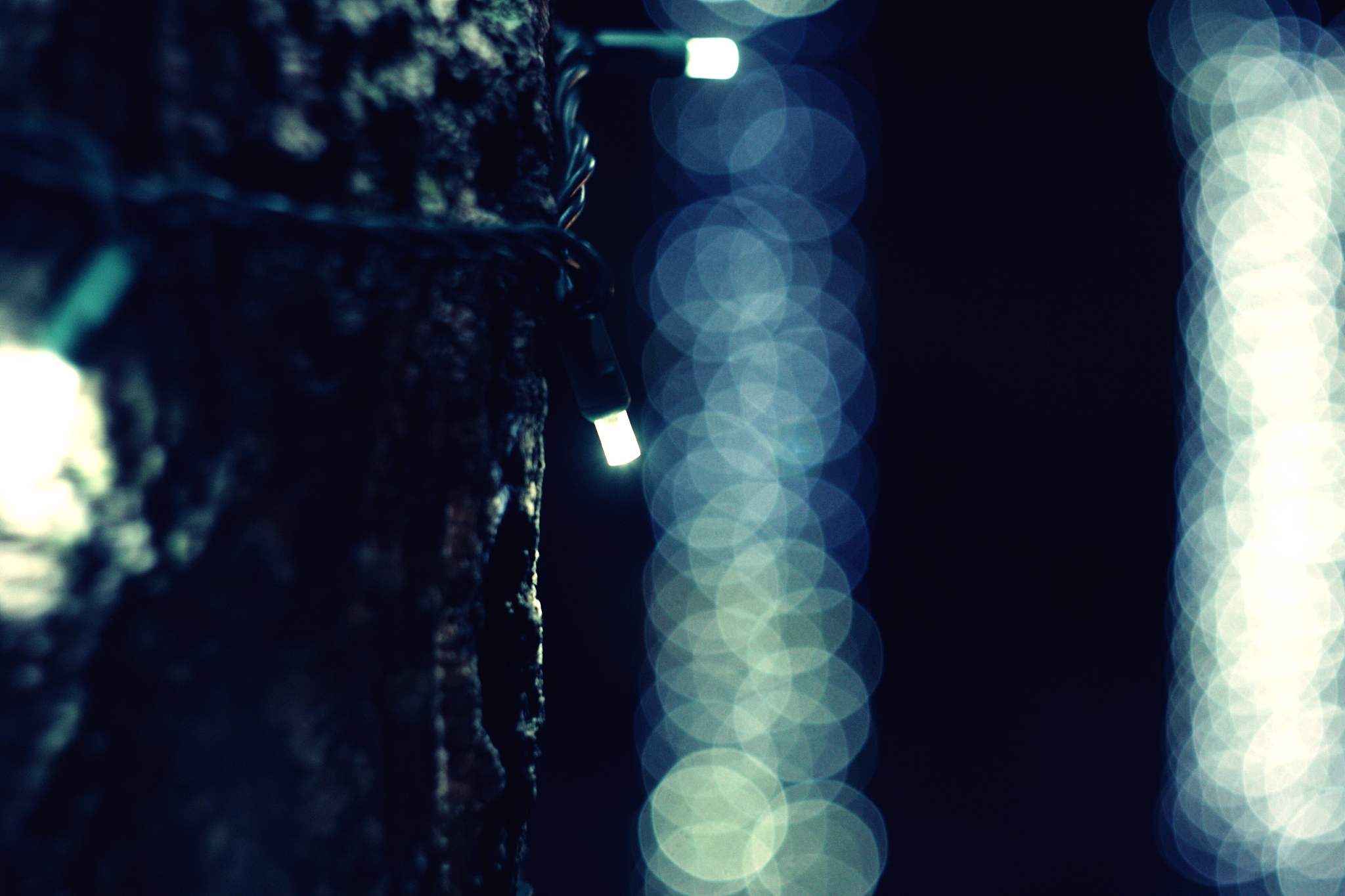 christmas lights