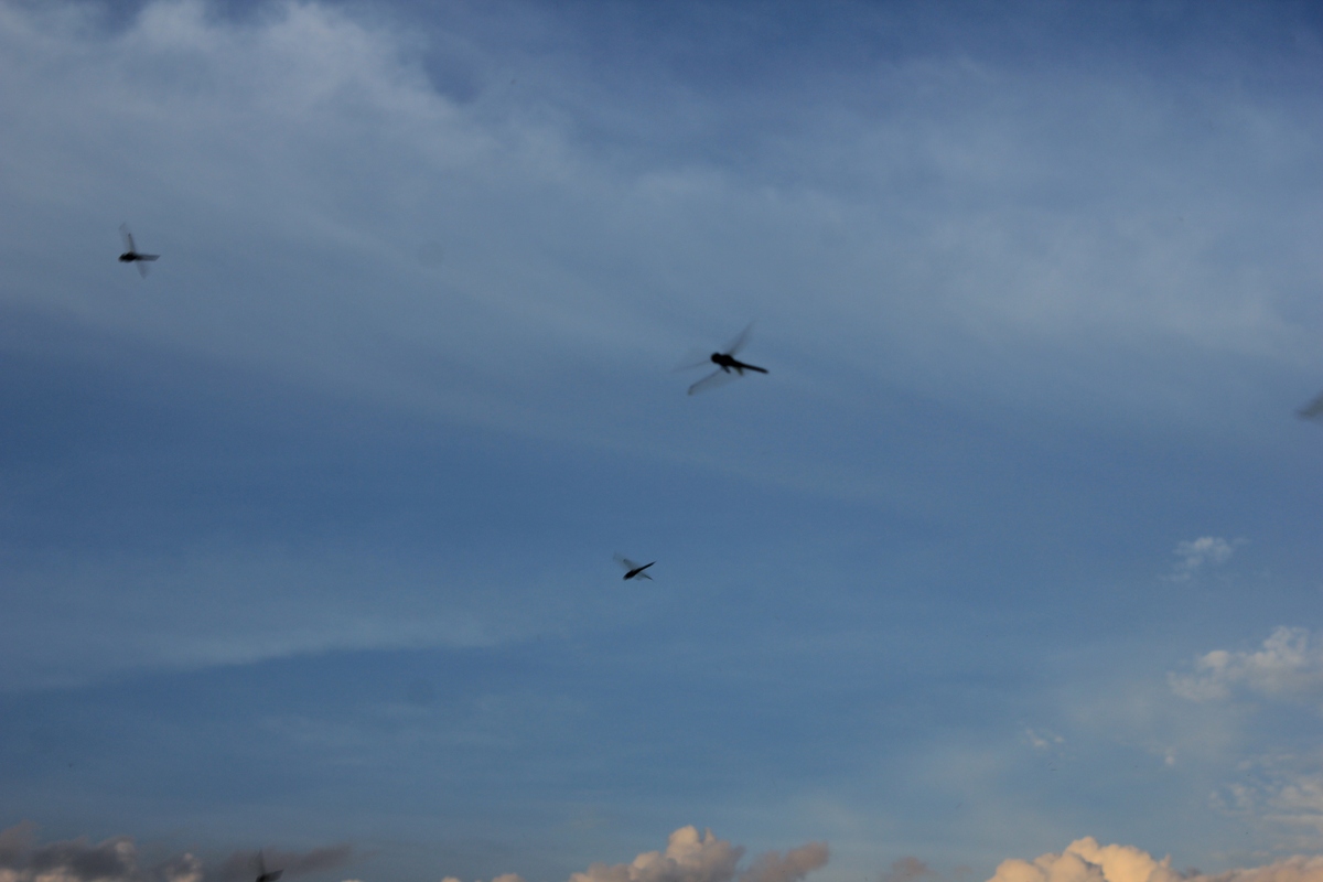 假如诗人李白坐上飞机看到窗外的风景他会写一首怎样的诗