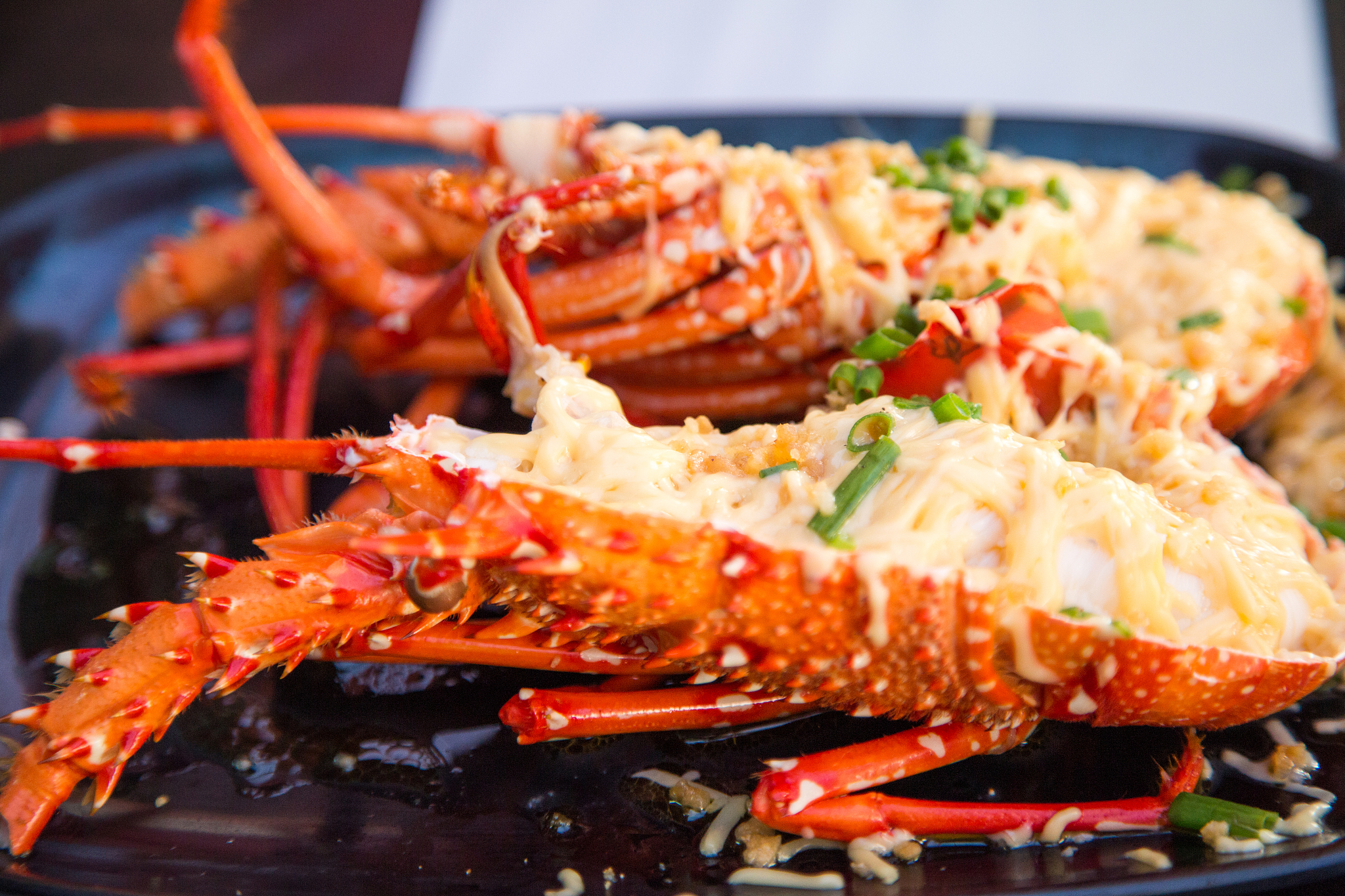 能帮我多写几条口头化探店的文案吗？文案内容关键词：1、常州龙虾、粤菜、海鲜顶流融合菜餐厅2、宇宙级龙虾美味3、常州创新融合菜的黑马骑士4、潮牌轻奢融合菜5、龙虾的王者、粤菜海鲜的顶流6、138元龙虾畅吃卡