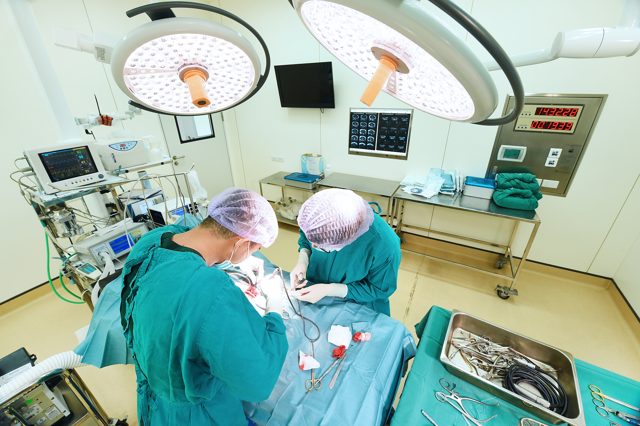 学习兽医专业：选择哪所学校？