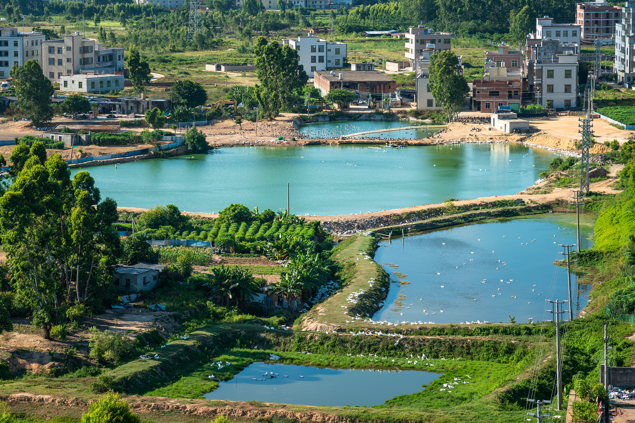 按照代建制模式湛江湾实验室项目在决策阶段有哪些质量风险400字