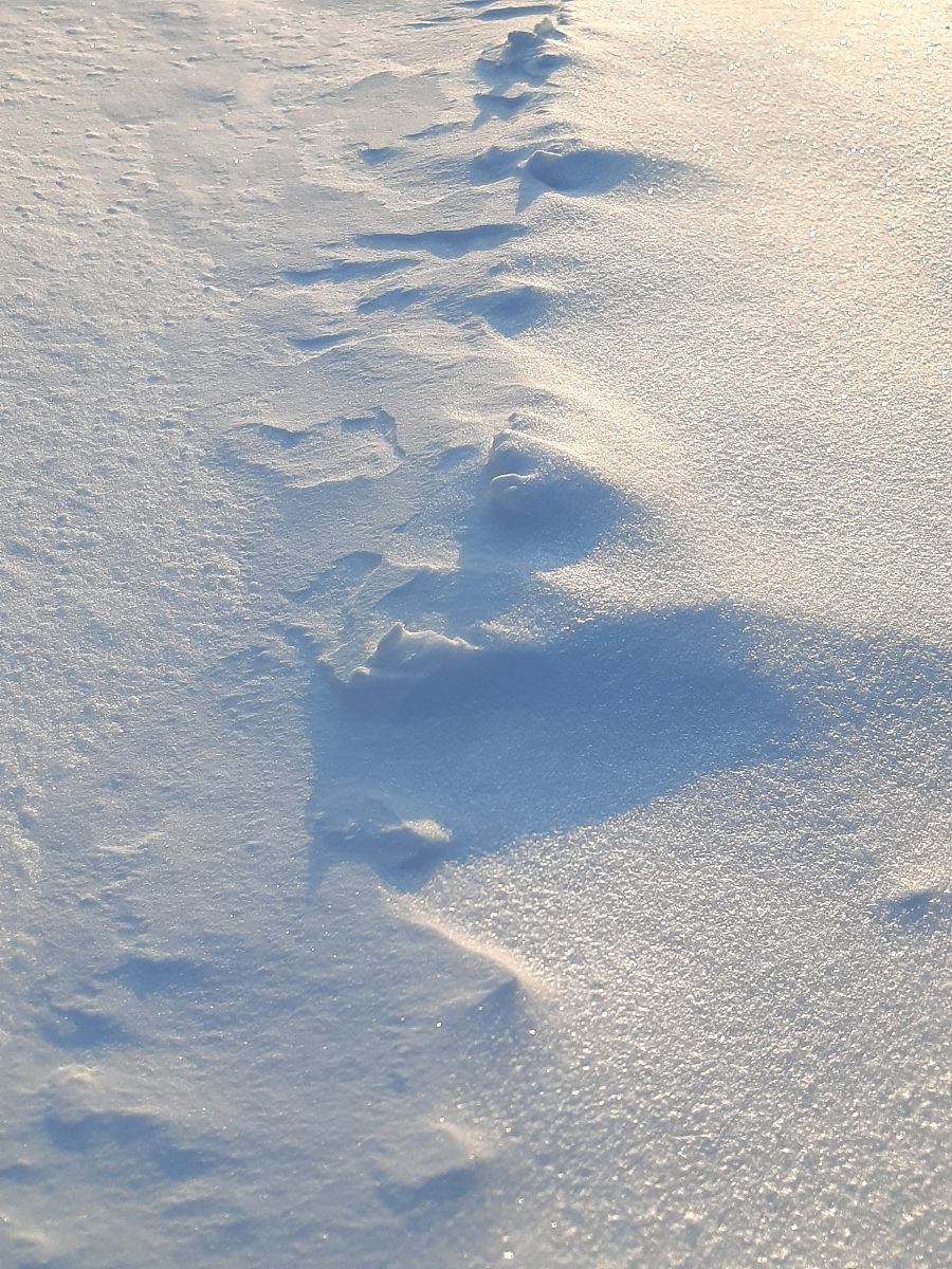 2022年春季招生简章