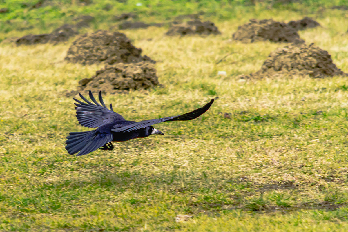 2023长春市博泰医药中等职业学校招生简章