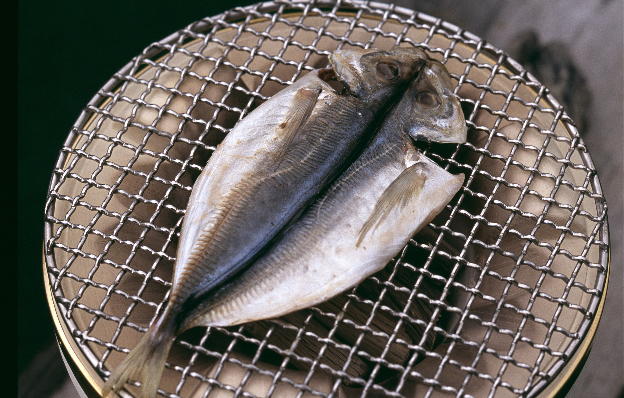 鱼板代表什么群体