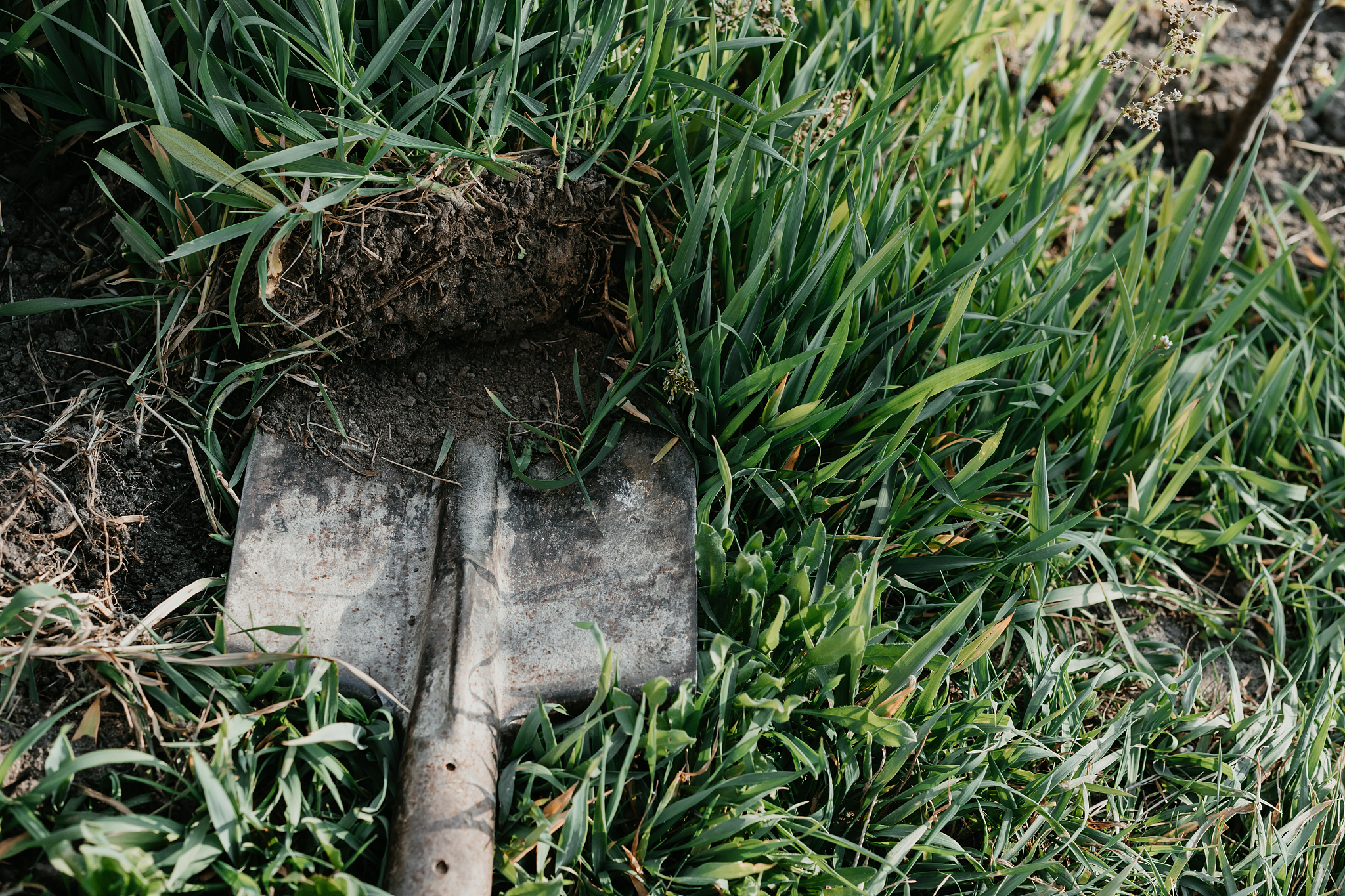 武汉市园林技工学校饭店酒店服务与旅游怎么样？招生条件有哪些