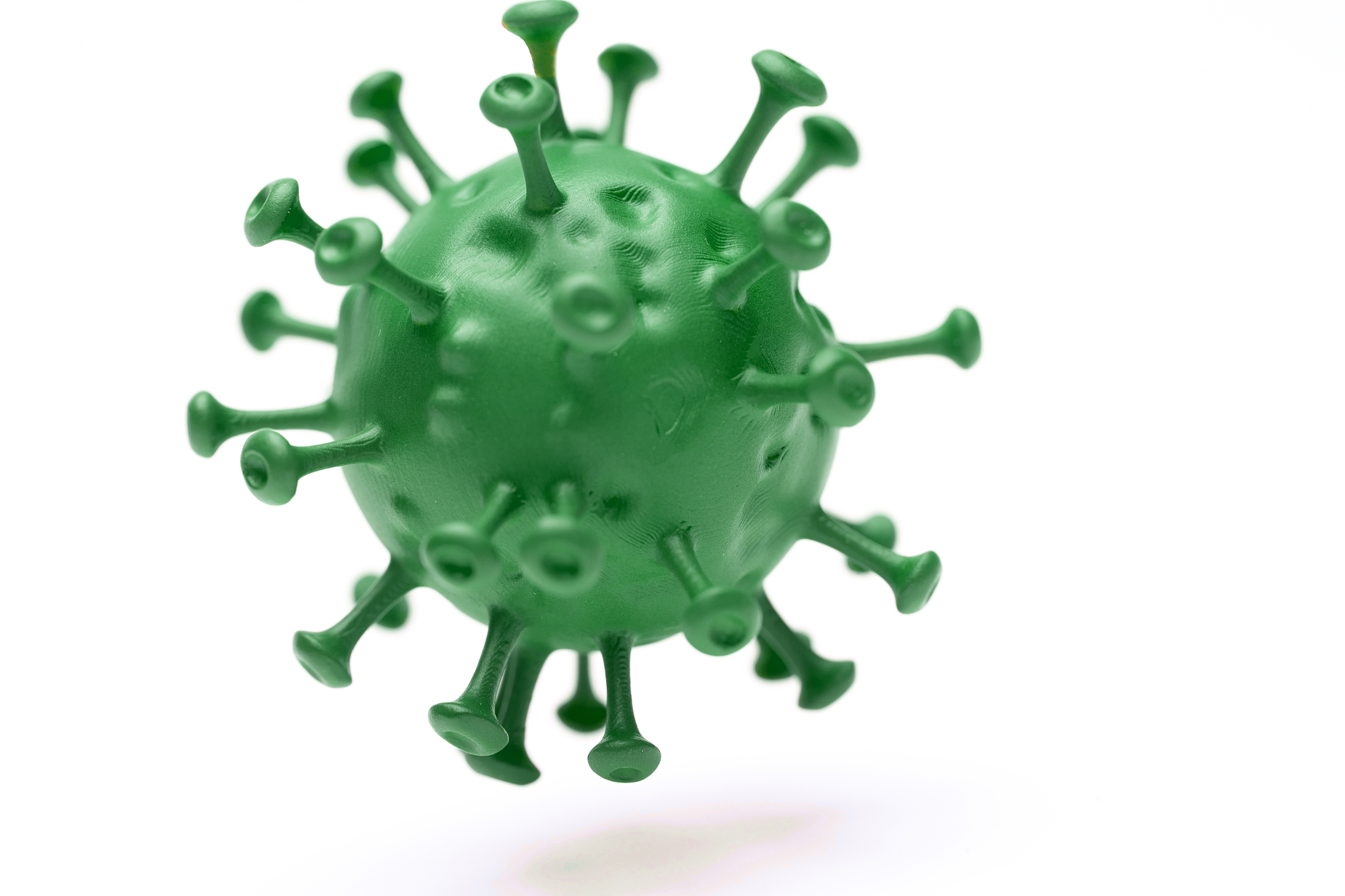 小反刍兽疫病毒的病原学