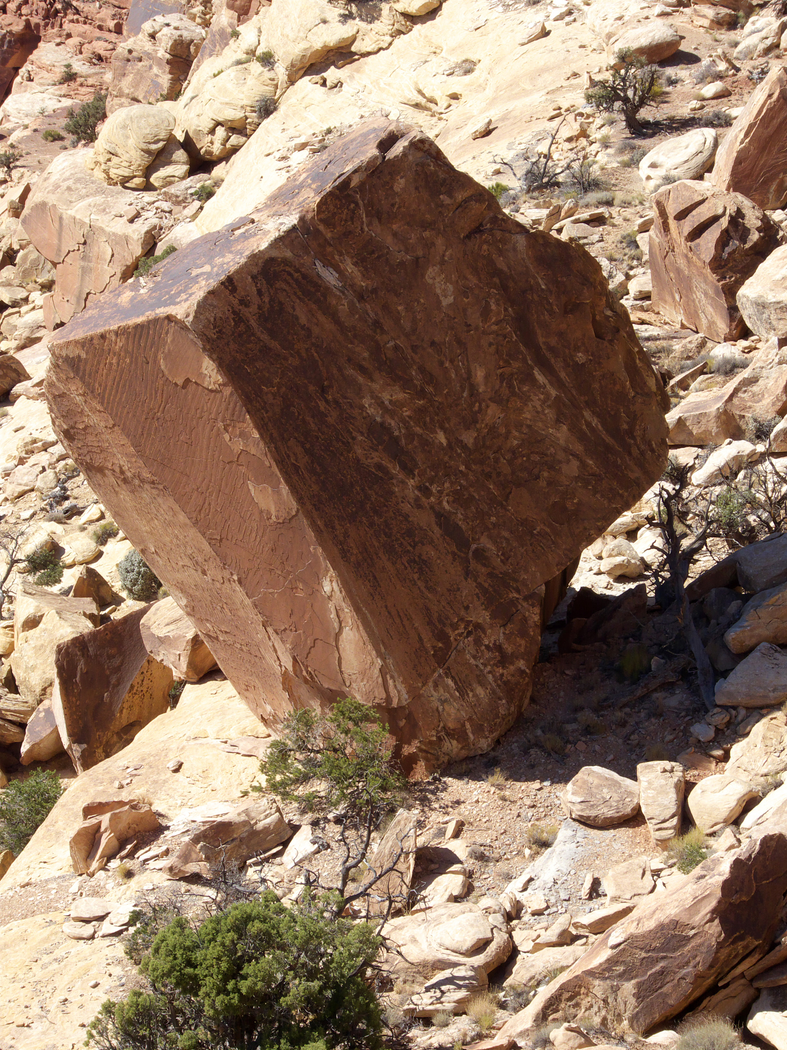构造运动与地貌的相互作用