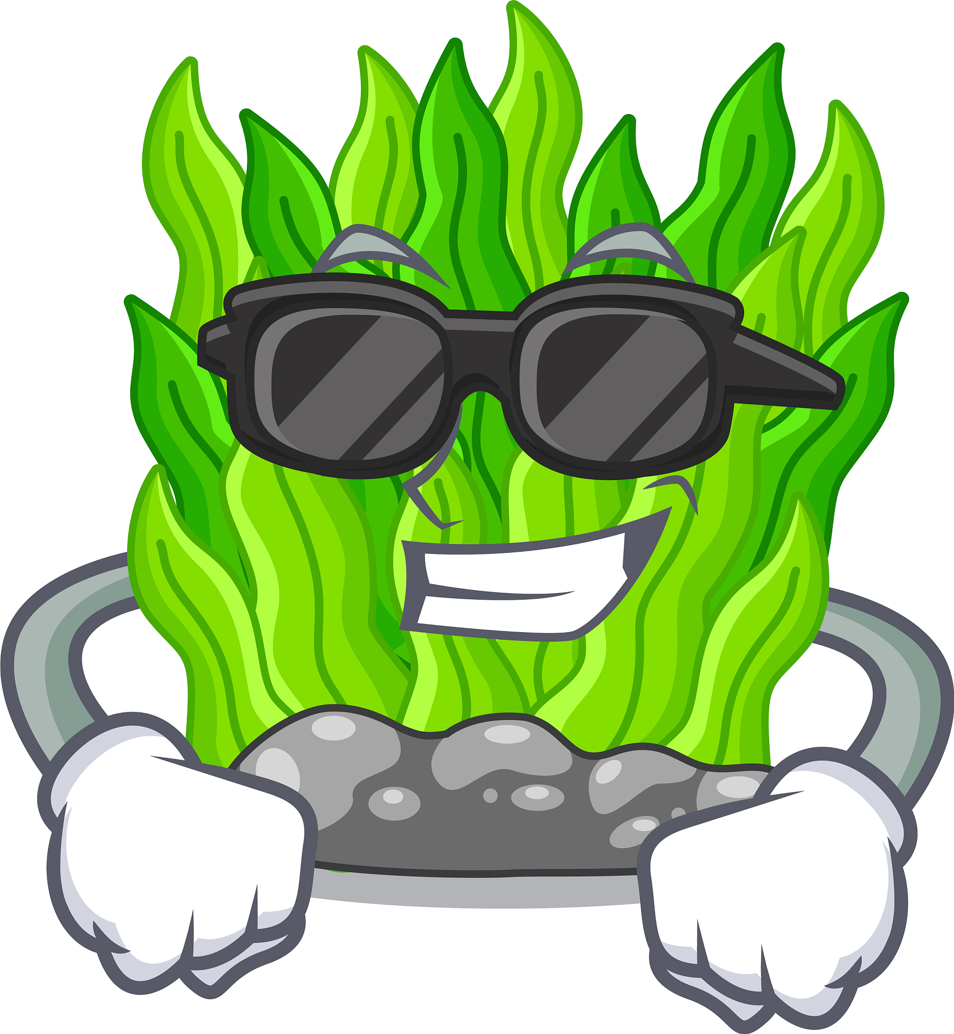 super cool green seaweed isolated with the