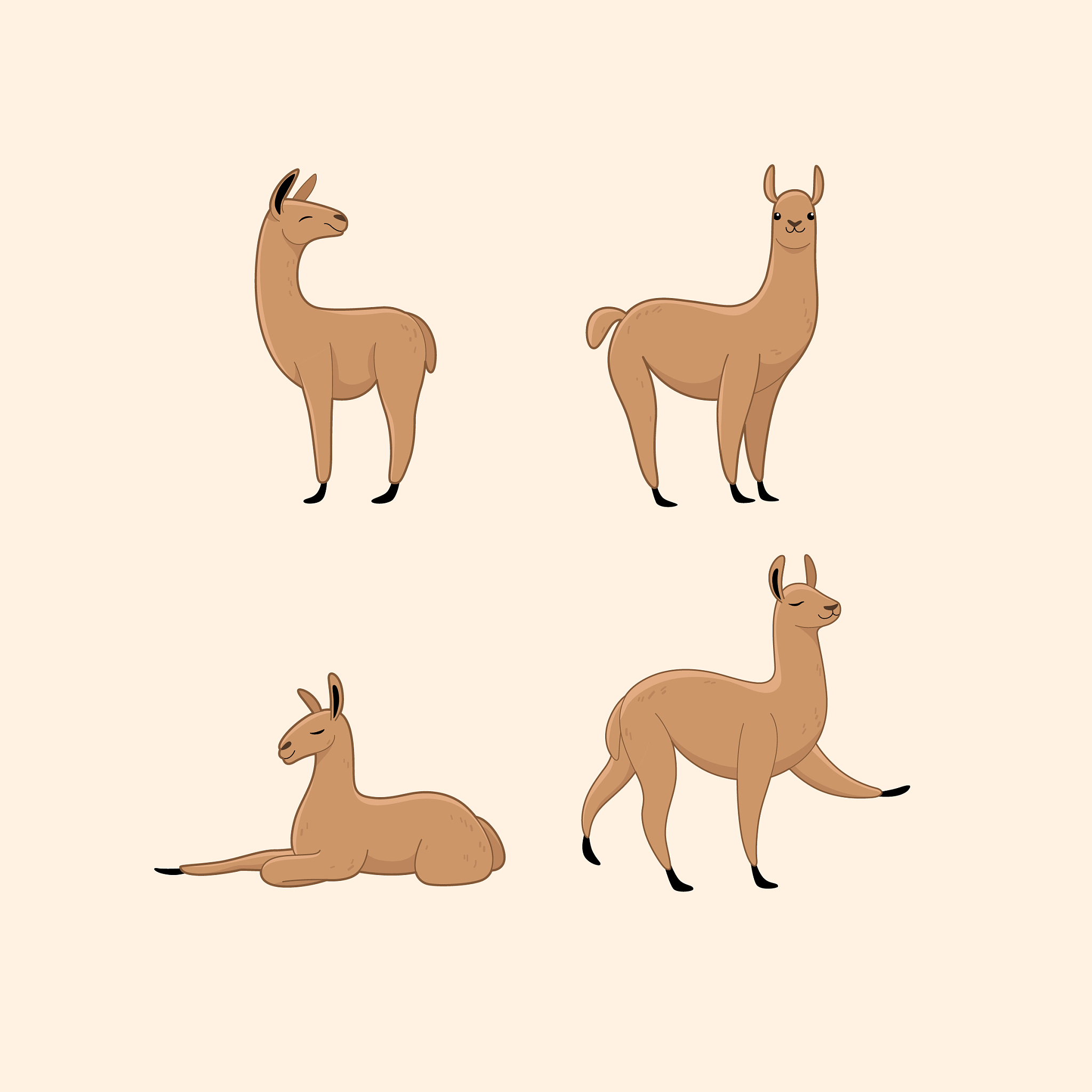 什么尾巴的作用是什么