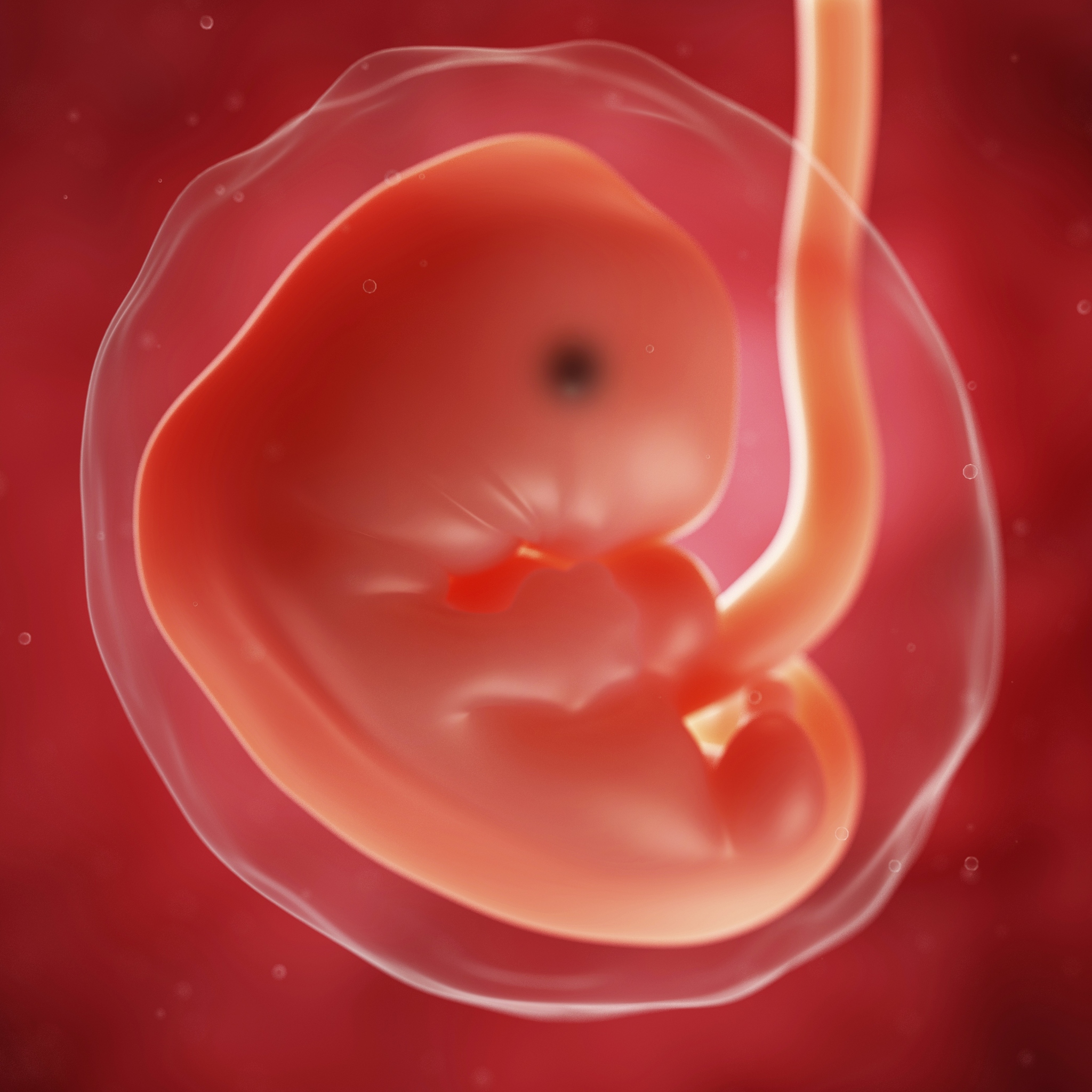 子宫小还能生孩子吗？专家解答生育难题！