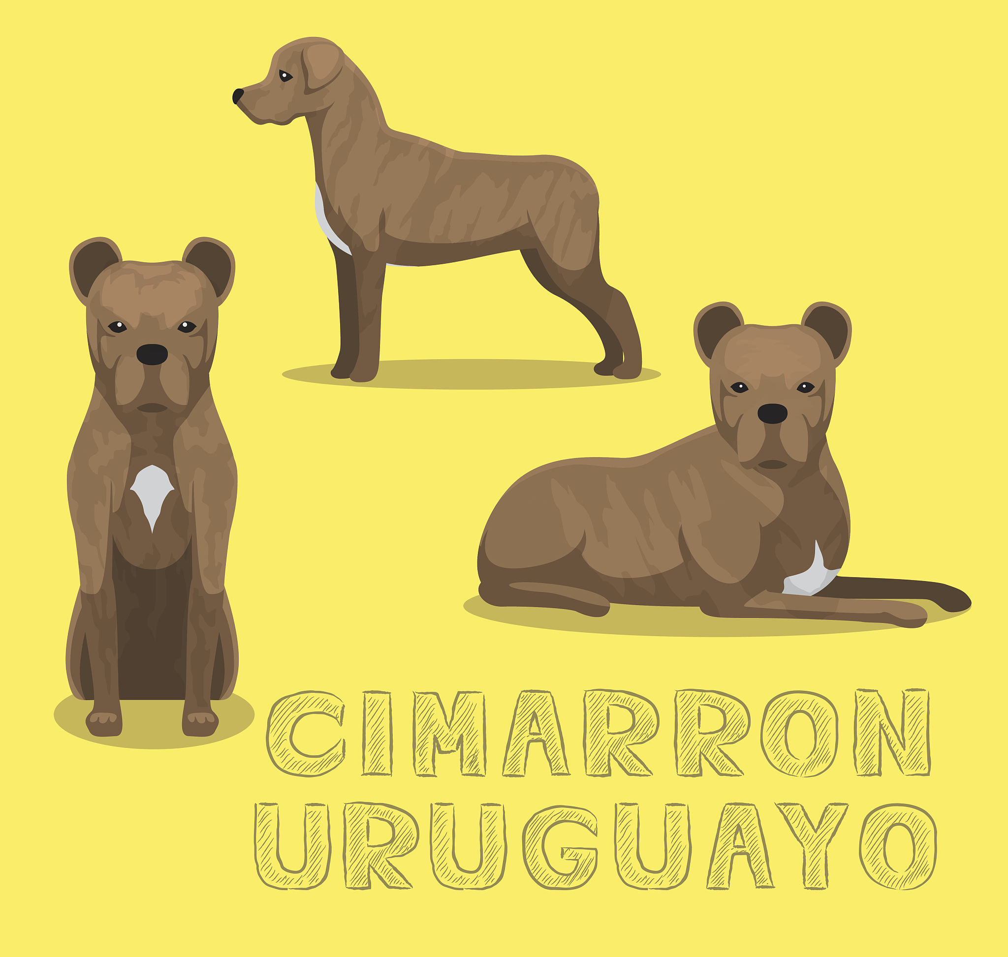 when a dog is happy what will its ears show like