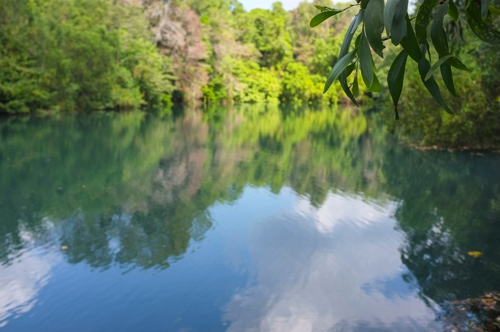 reflection of trees in lake