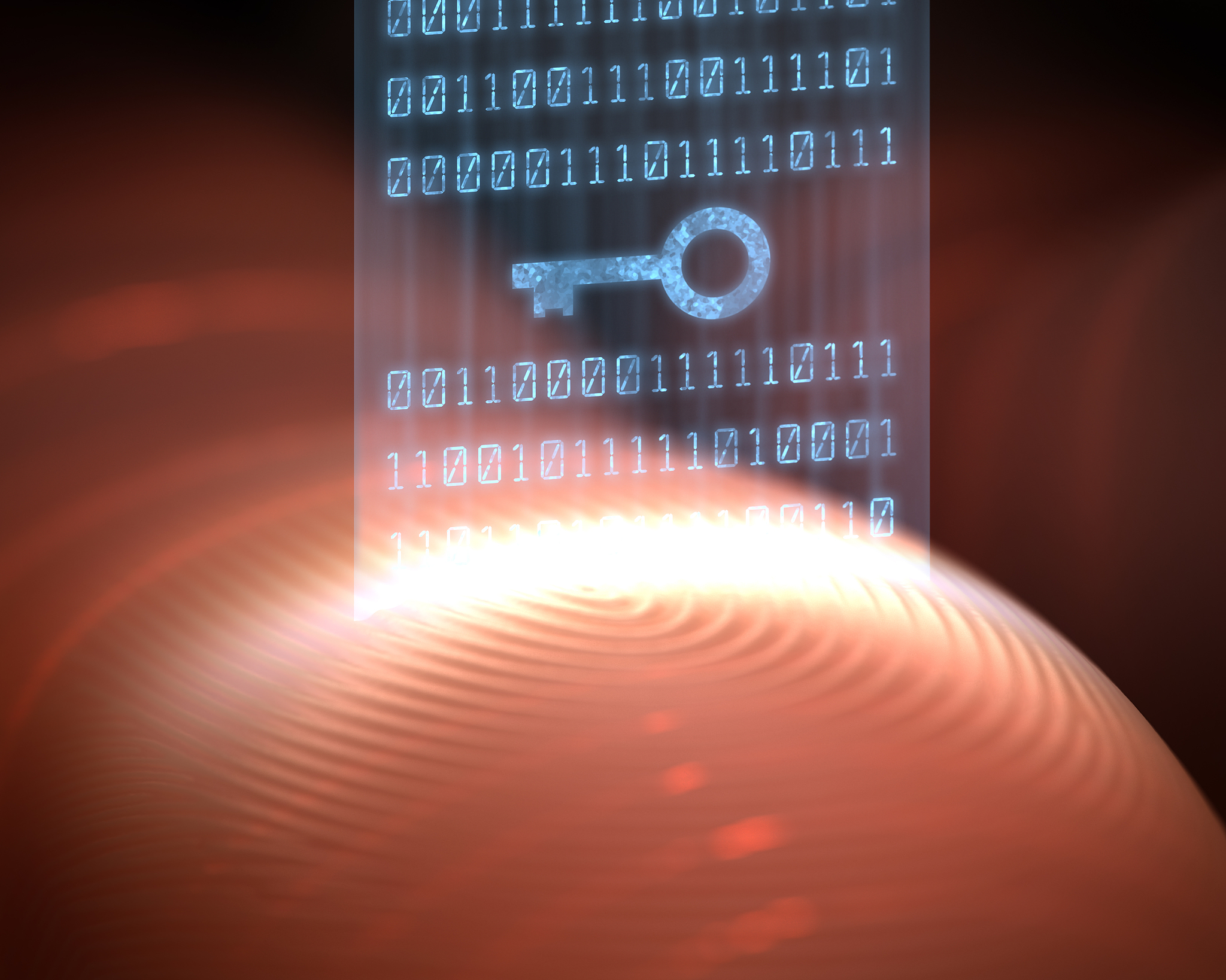 Nmap OS 指纹识别参数：-np