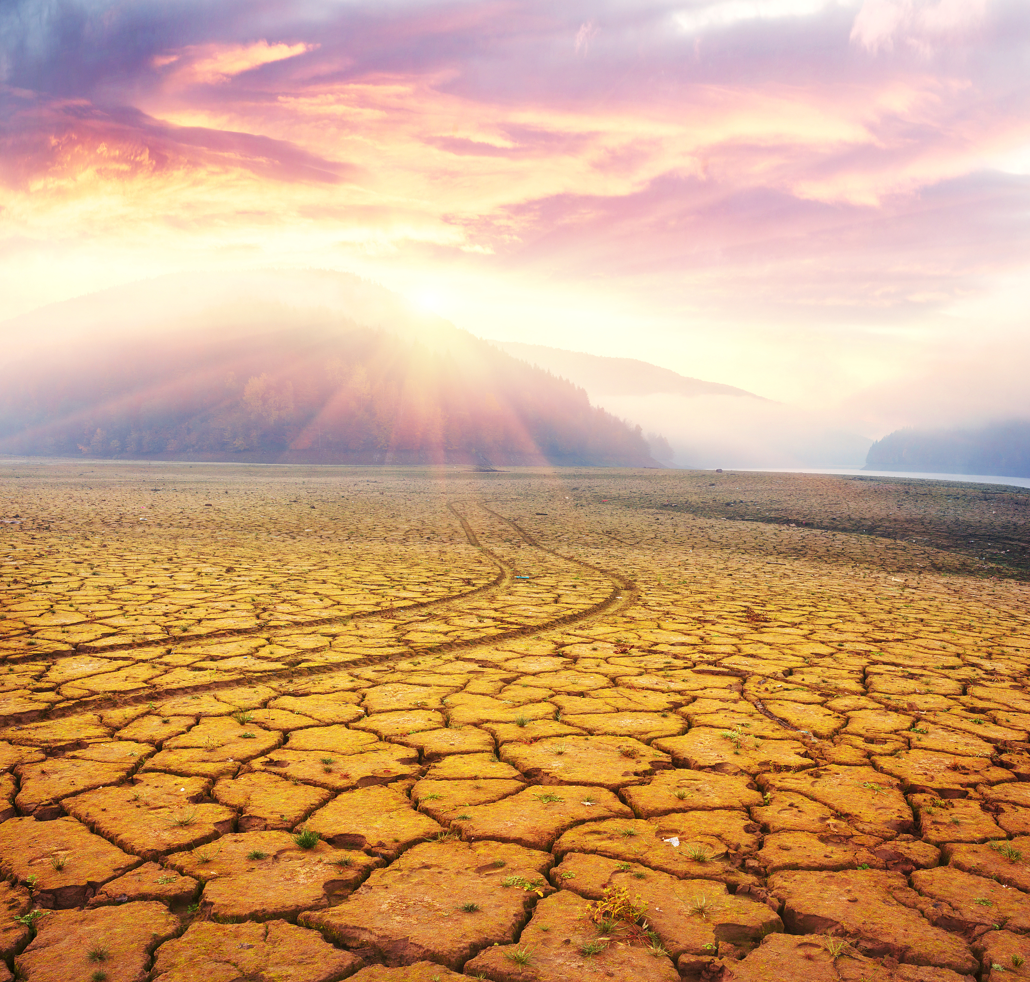 2022年中国遭遇60年一遇高温干旱：挑战与应对