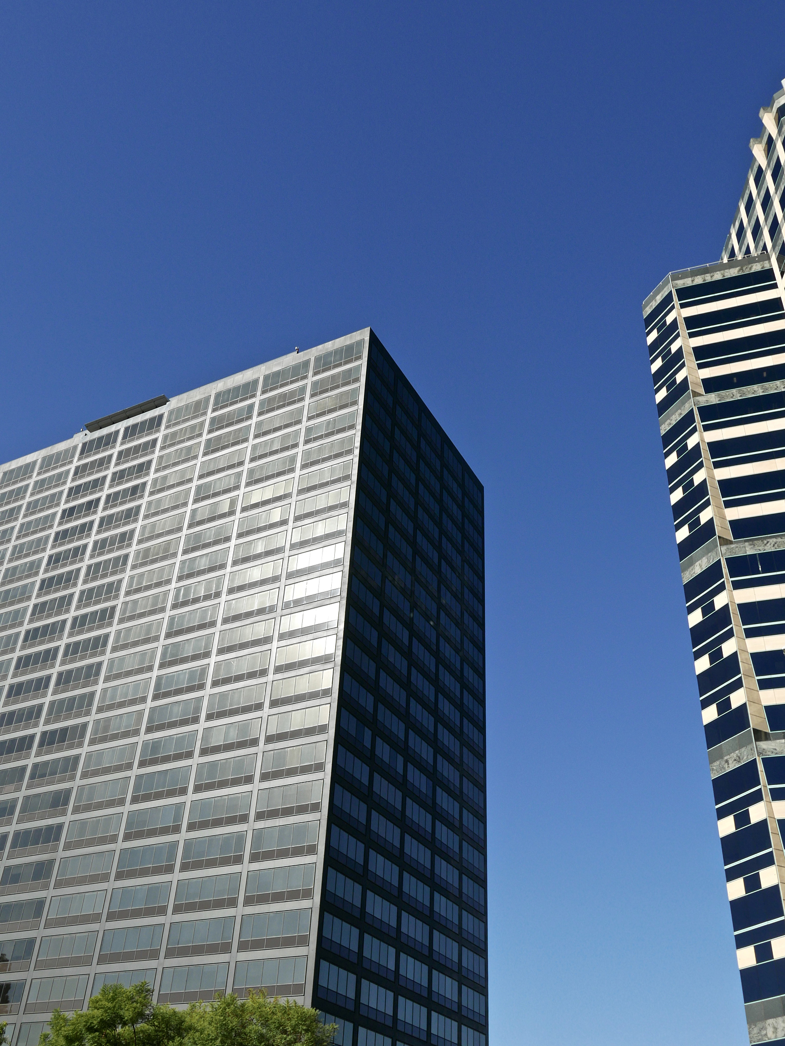 我是一个美国的领主我能做什么？