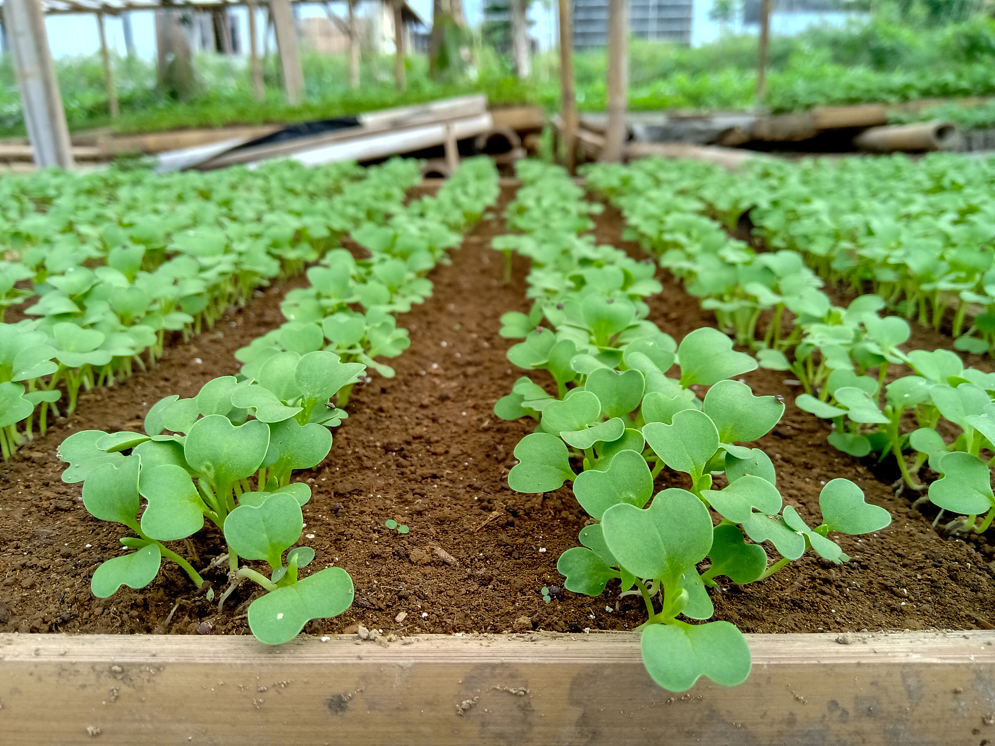 贵阳市贵州省农业广播电视学校怎么样？