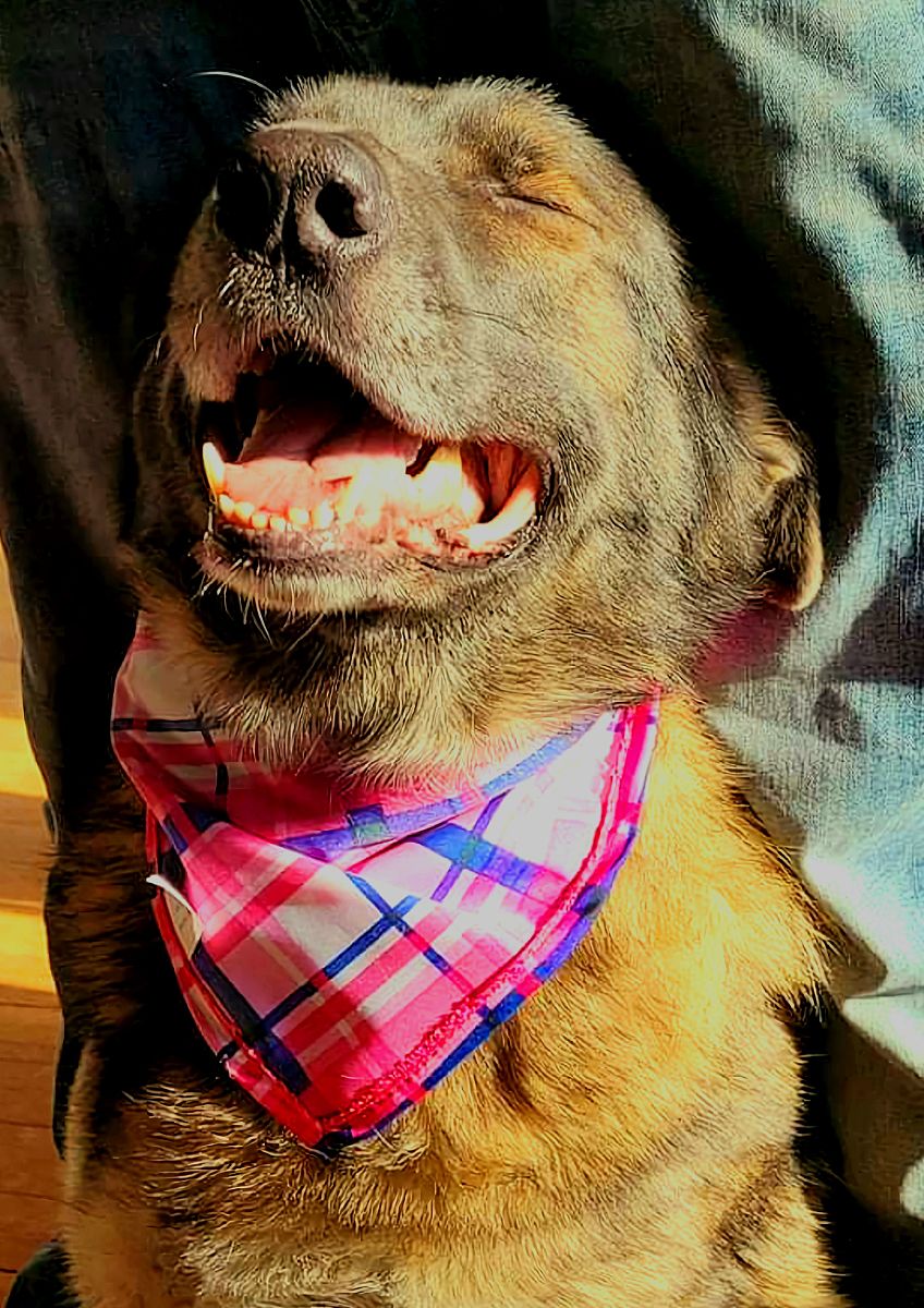 讲个好笑又悲伤的笑话