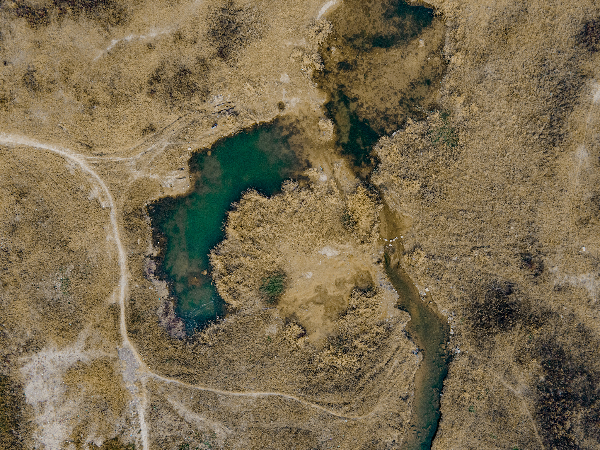 遥感影像获取平台推荐：免费获取卫星数据