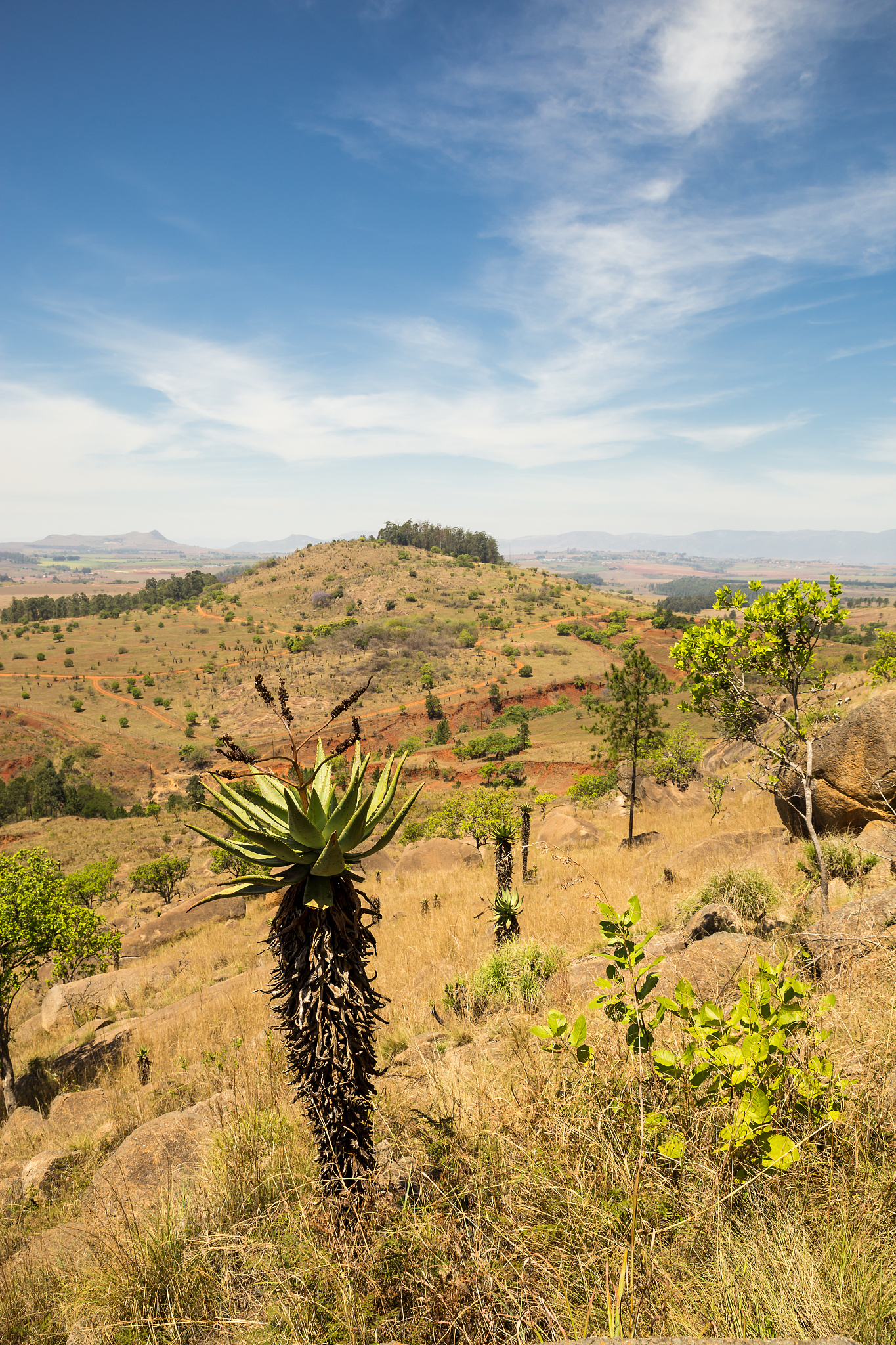 valley and mountains in mlilwane wildlife sanctuary, swaziland