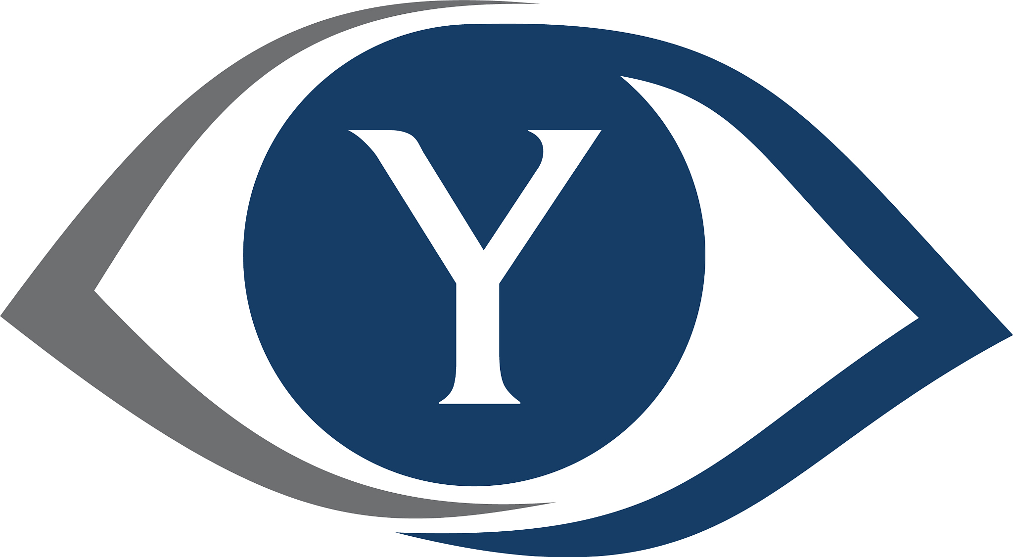 eye care solutions letter y