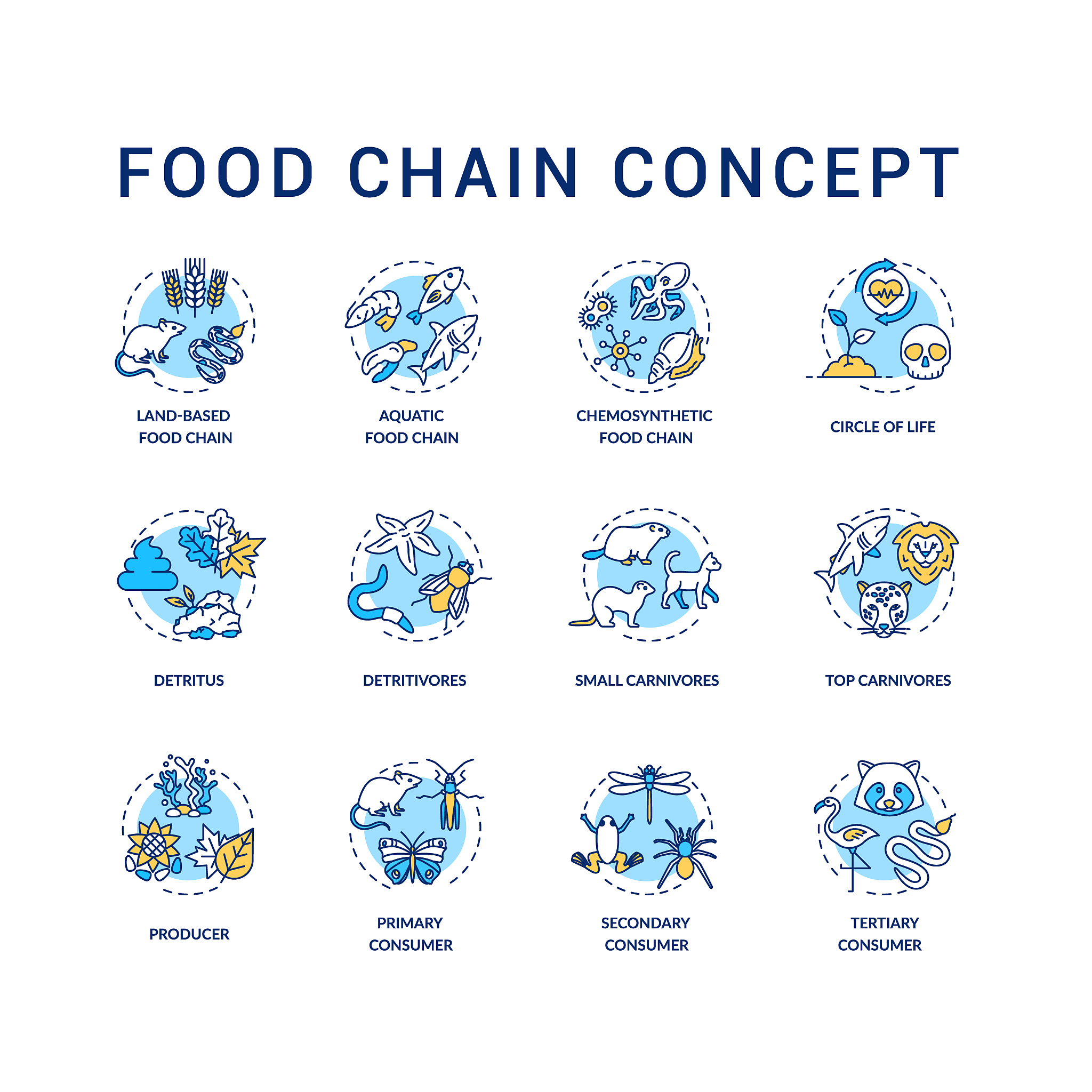 食物如何影响种群数量：生存、繁殖与竞争的关键因素
