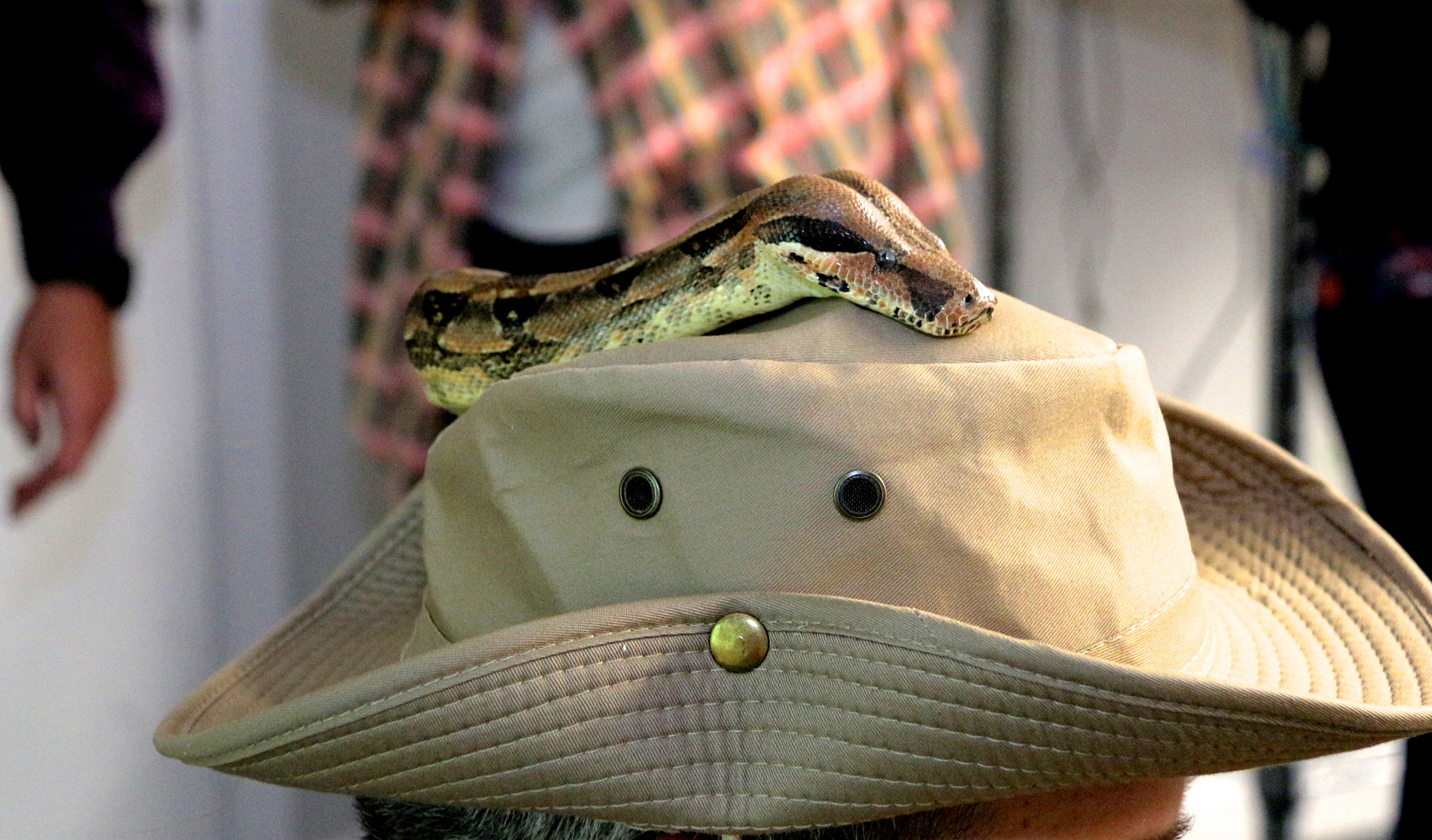 商丘职业技术学院信息安全技术专业怎么样