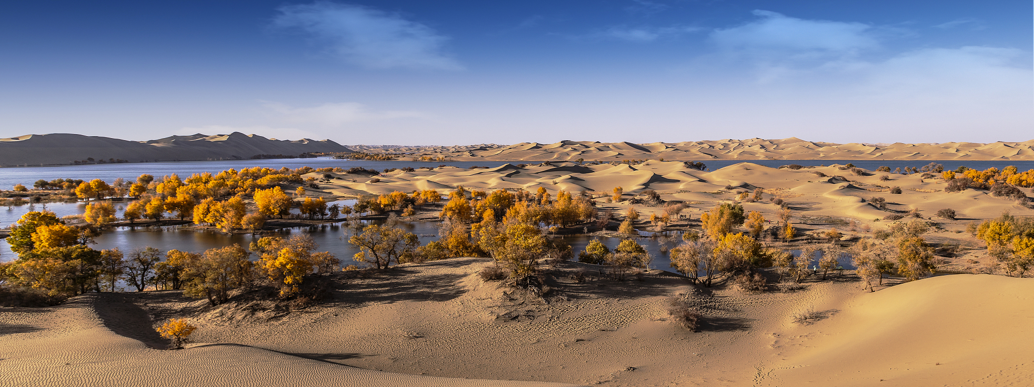 疏勒县 - 新疆喀什历史悠久、自然景观丰富、经济繁荣的地区