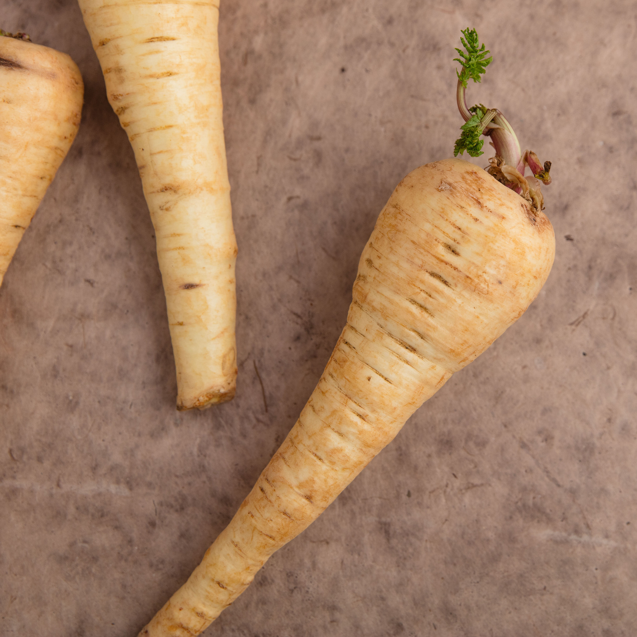 蔓之恋®复合果蔬粉固体饮料适合哪些人群饮用？