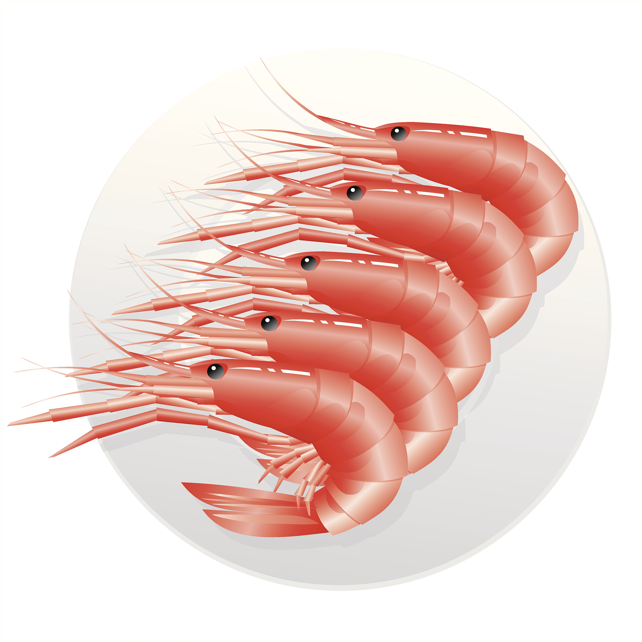 Frozen Head-on Vannamei Shrimp in Carton Packaging