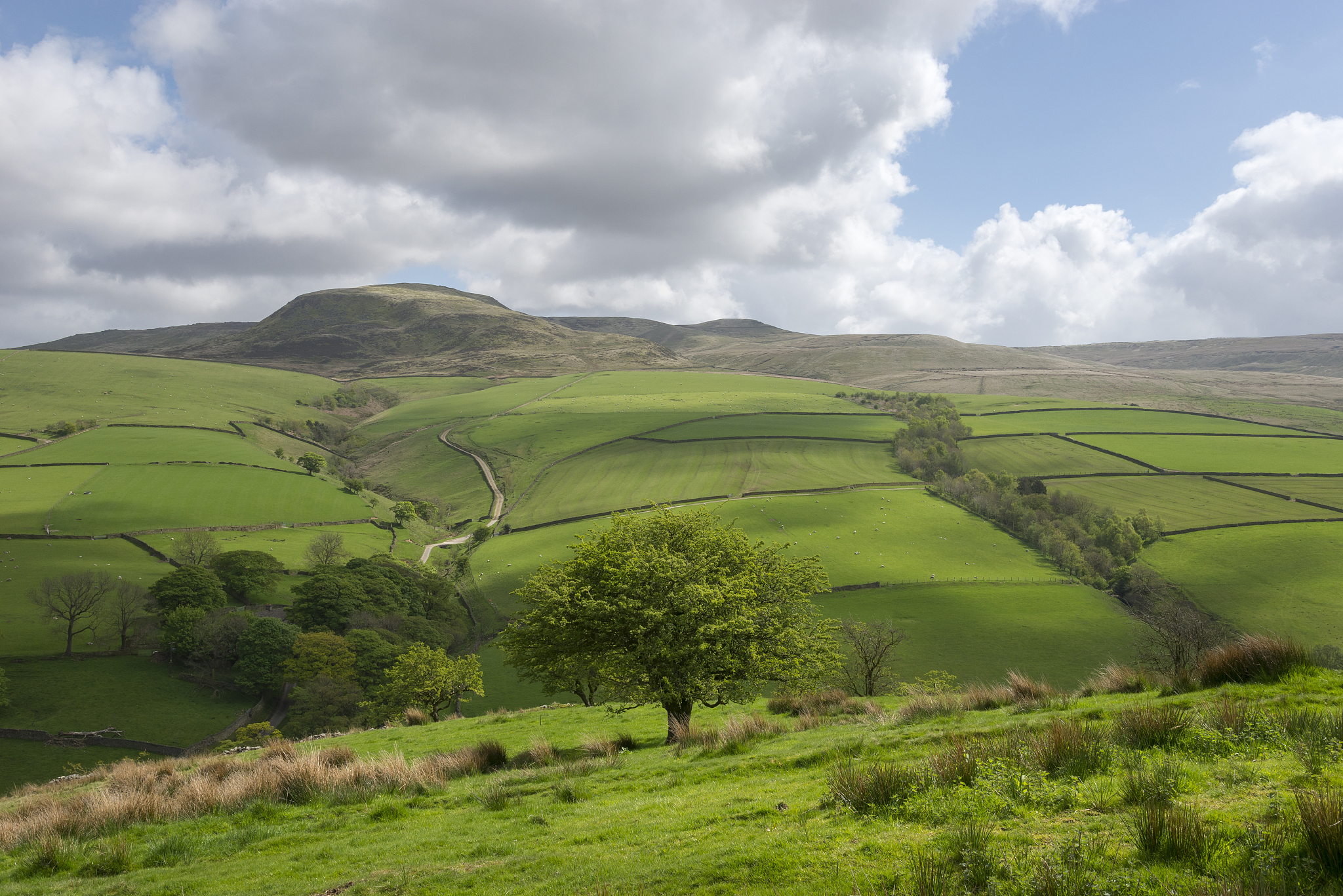 the english countryside in may