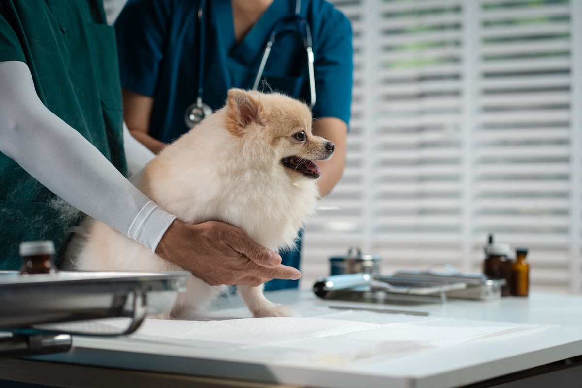 预防接种证颜色跟省份有关吗？