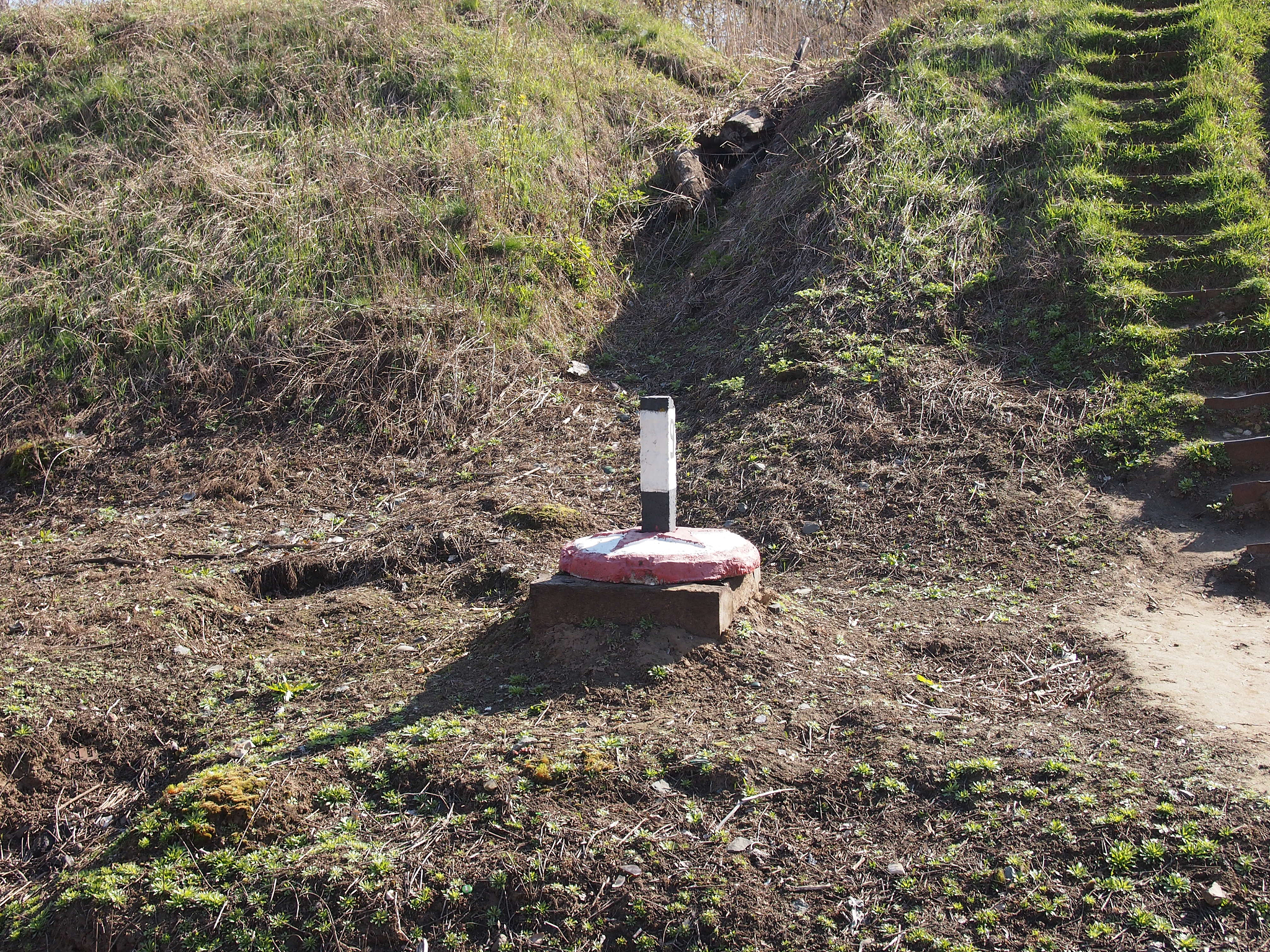土壤中啶虫脒检测方法：步骤详解