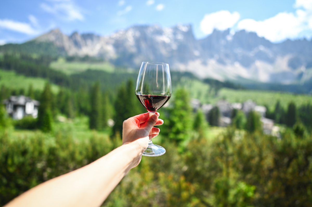 以 品红酒就像品一种生活的态度。它的醇厚如同一份深情的陪伴。它的香气如同一种浪漫的想象。每一瓶都是对生命的热爱。为标题的短视频文案 不少于150字