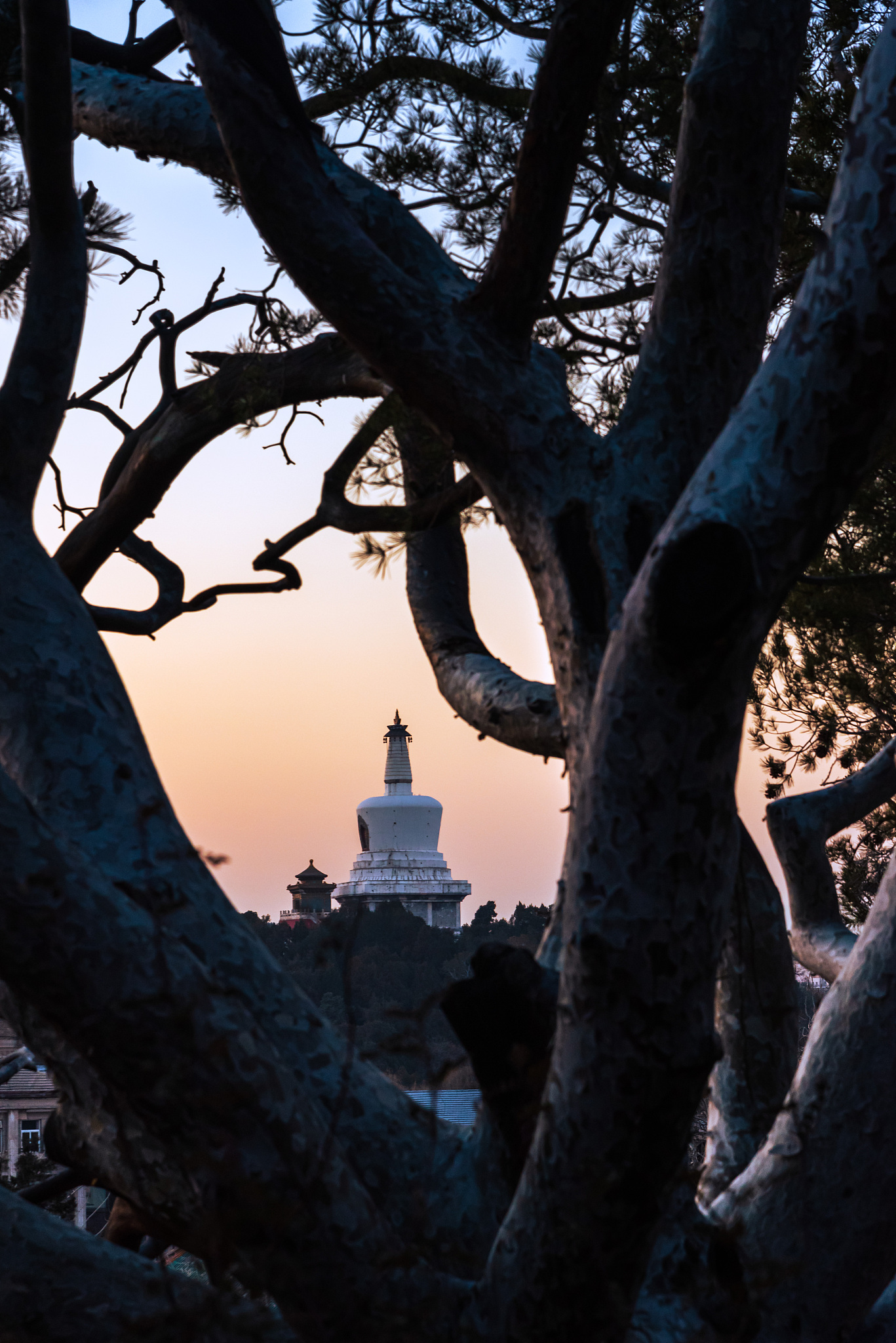 请参考以下内容重新生成一篇不少于800汉字的原创文章。主题是：《哪里旅游最好玩分享10座城市是首选》语言要幽默口语化。第一个：辽宁大连第二个：山东威海第四个：江苏苏州第五个：浙江绍兴第六个：浙江宁波第七个：广西北海第八个：安徽亳州第九个：广东韶关第十个：广东肇庆