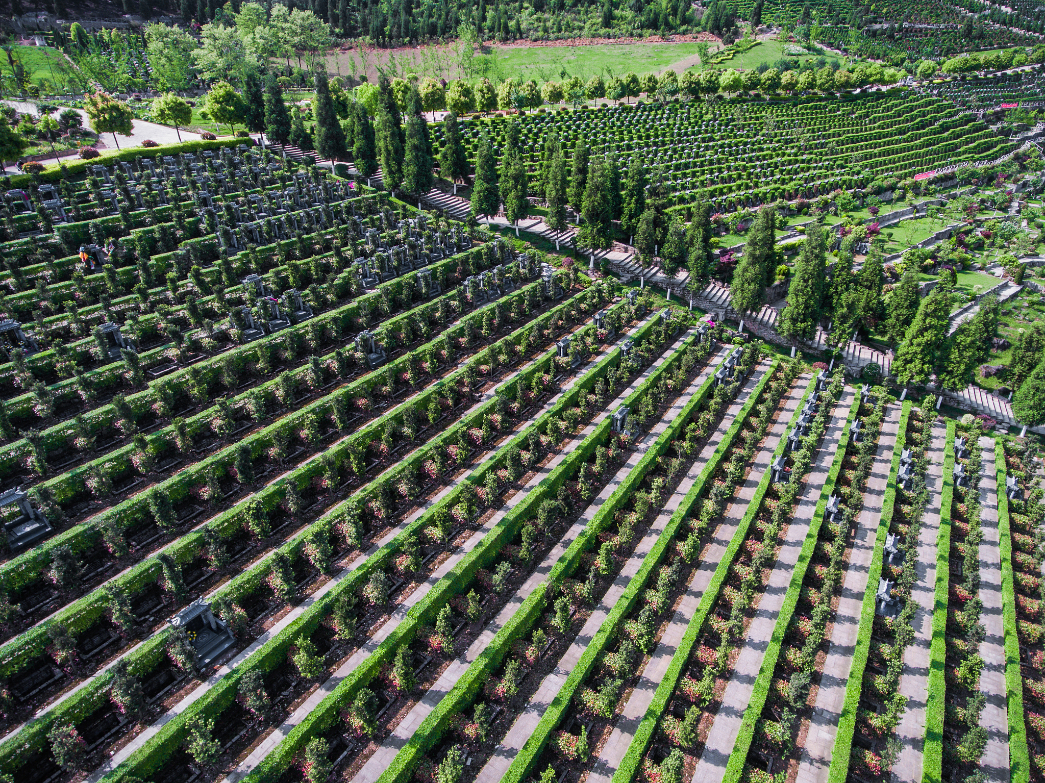 梦见坟地和抬棺什么寓意